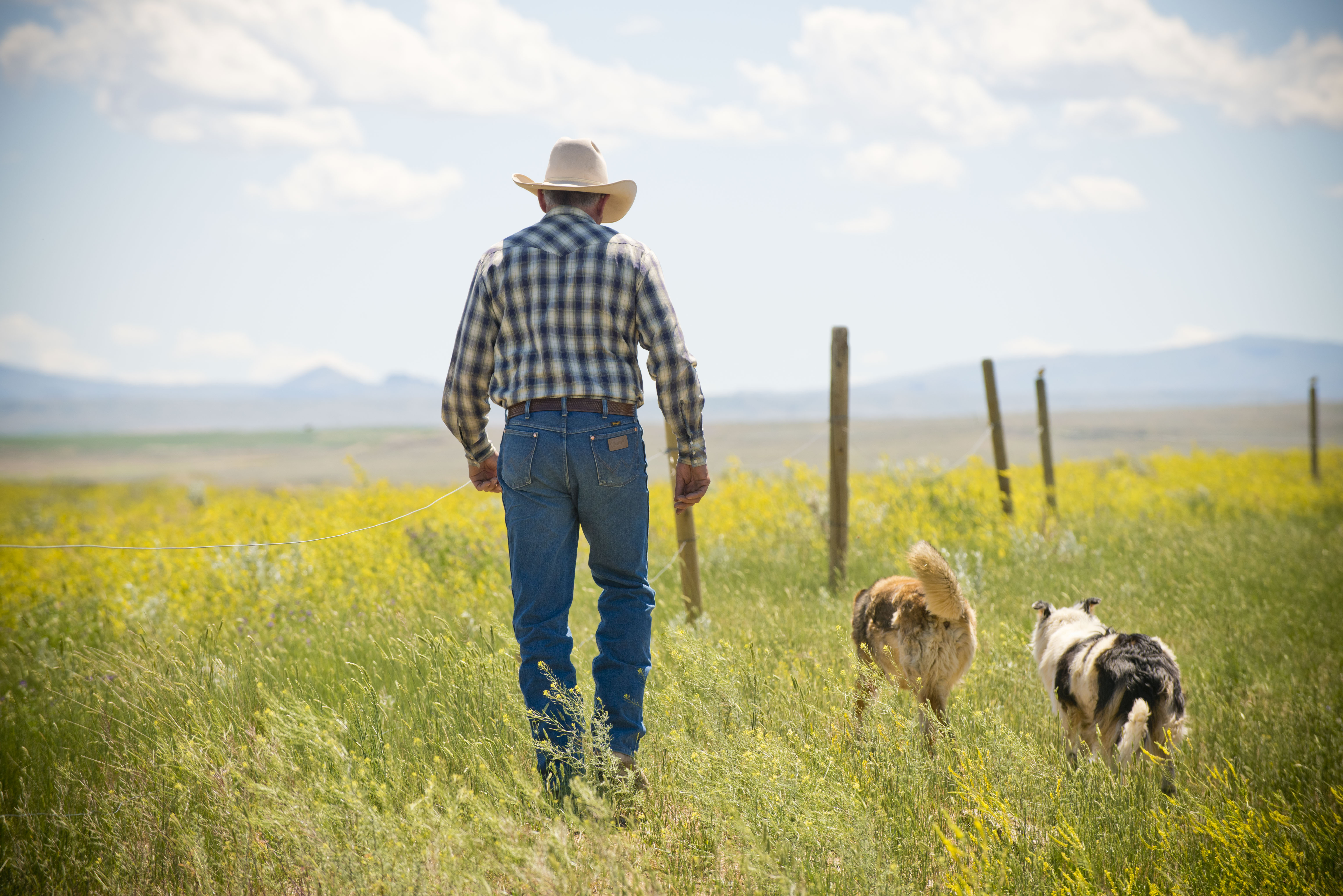 Free download high resolution image - free image free photo free stock image public domain picture -cowboy man and his dog