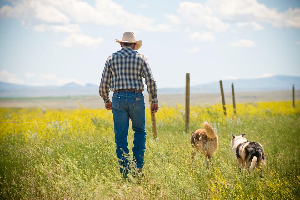 Free download high resolution image - free image free photo free stock image public domain picture  cowboy man and his dog