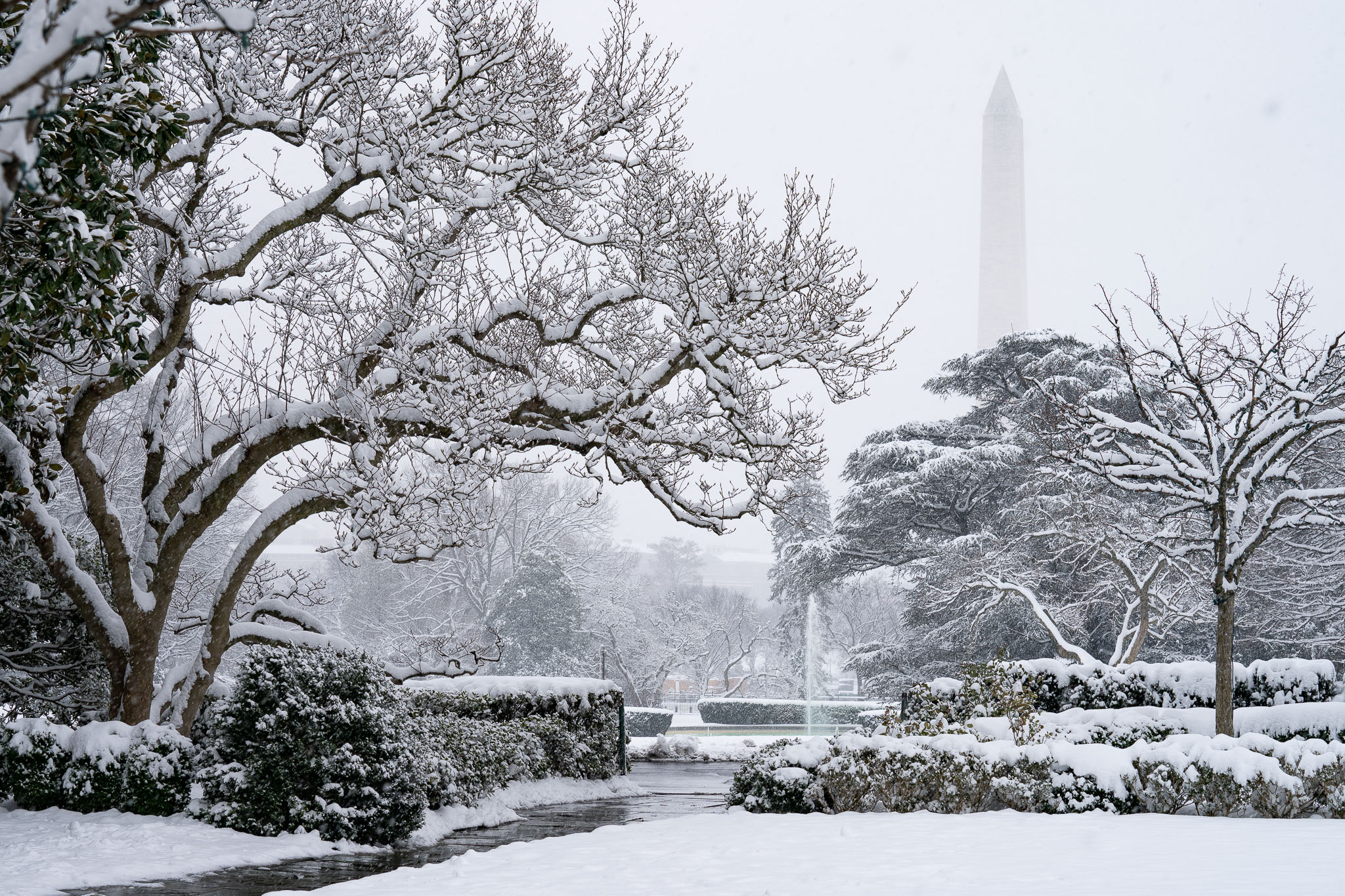 Free download high resolution image - free image free photo free stock image public domain picture -The Rose Garden of the White House is seen covered in snow