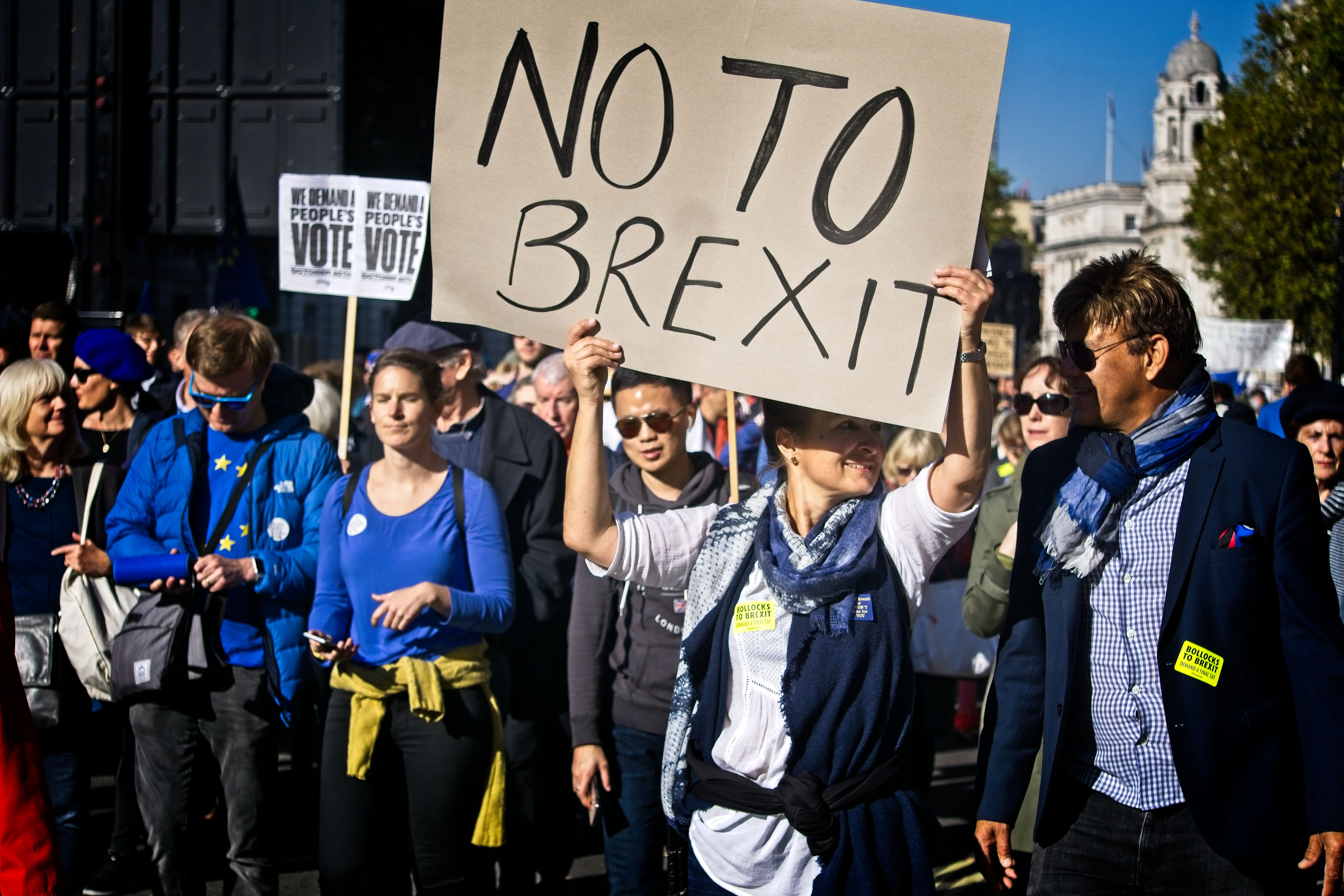 Free download high resolution image - free image free photo free stock image public domain picture -Anti-Brexit protest, London, UK