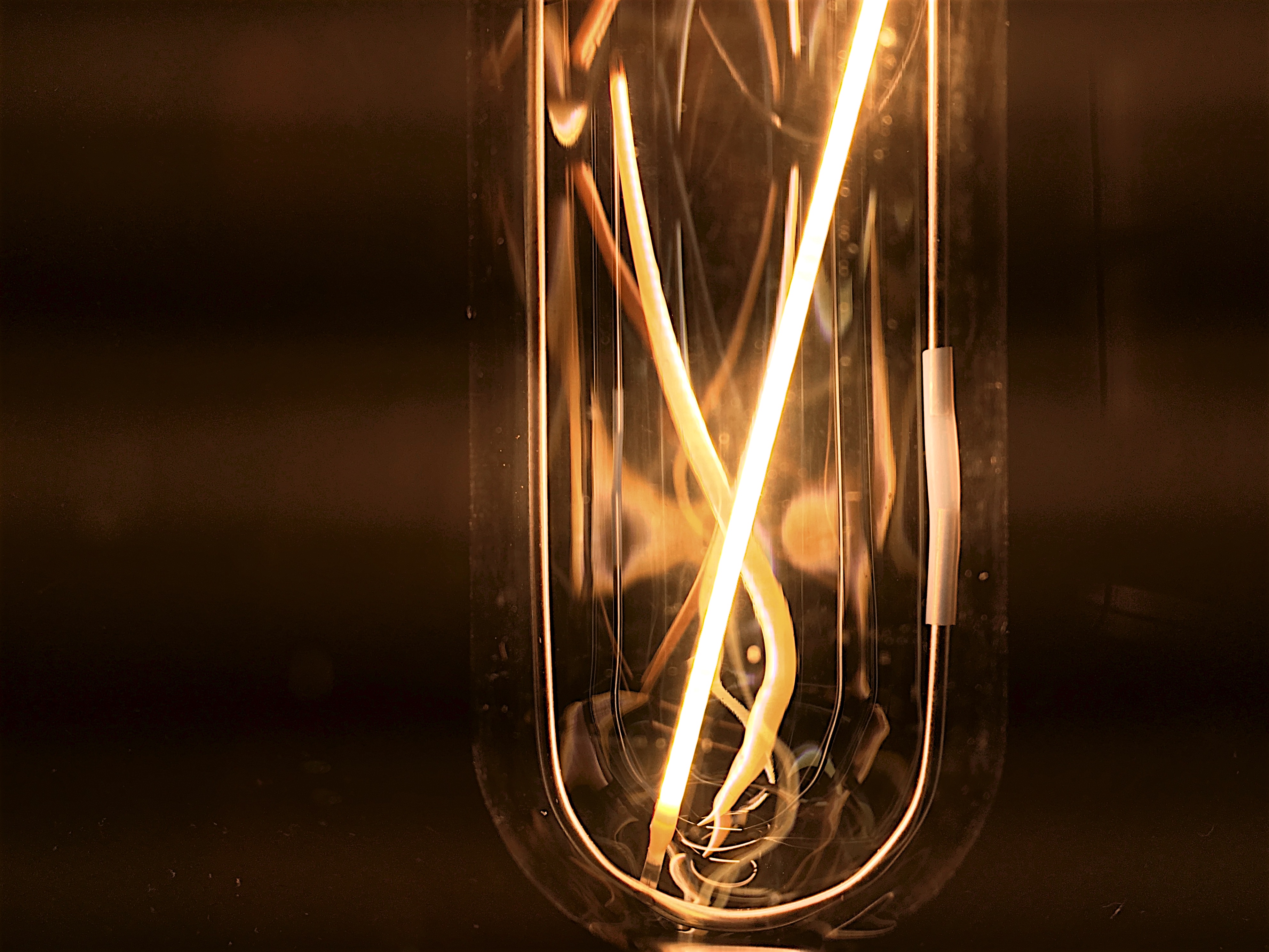 Free download high resolution image - free image free photo free stock image public domain picture -Glowing Led filament cob lamp