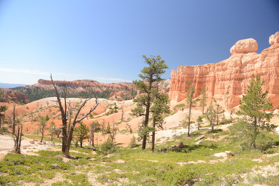 Free download high resolution image - free image free photo free stock image public domain picture  Sun is shining  in the early morning. Bryce Canyon National Park