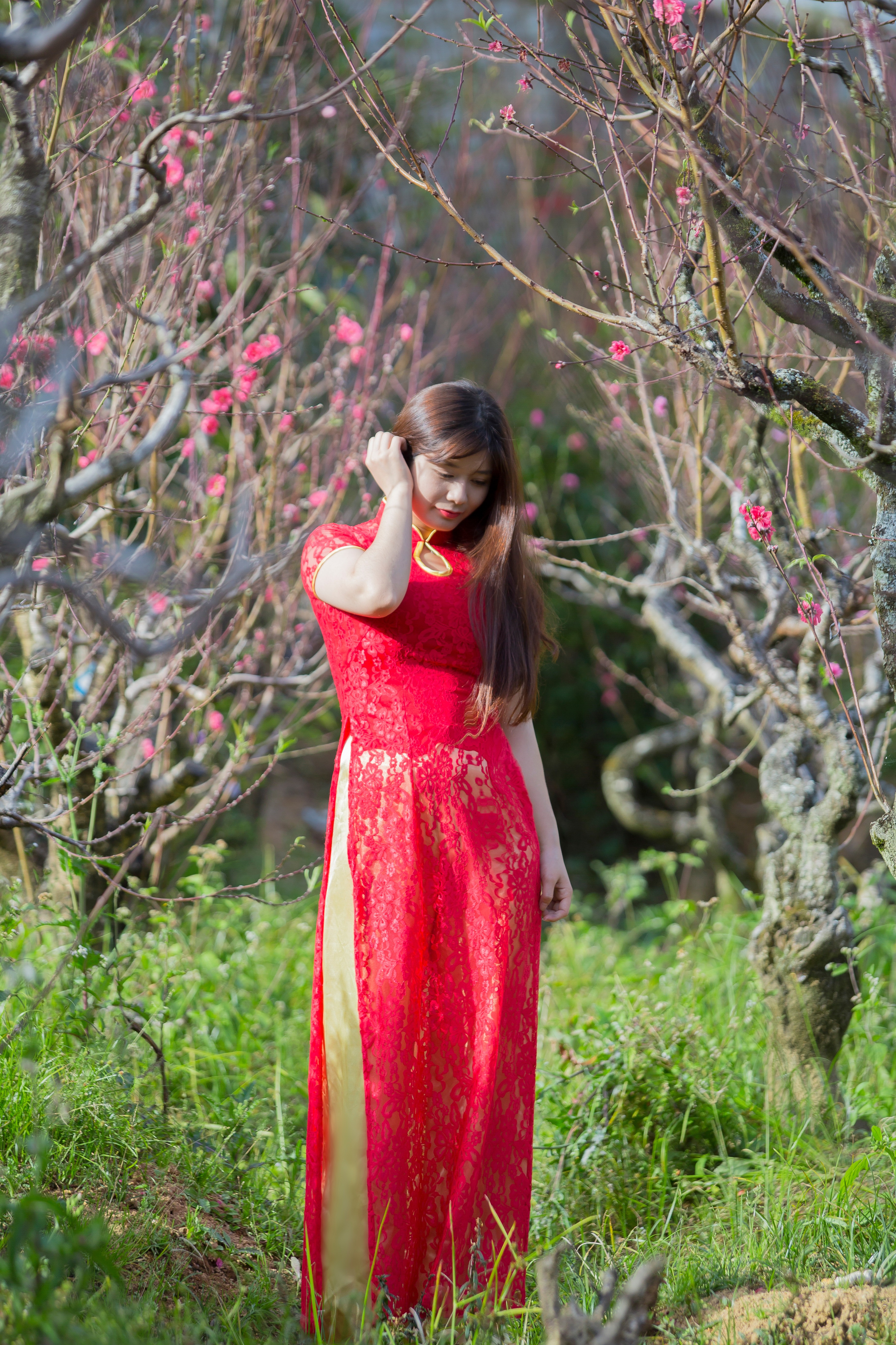 Free download high resolution image - free image free photo free stock image public domain picture -beautiful young Chinese girl smiling in spring garden