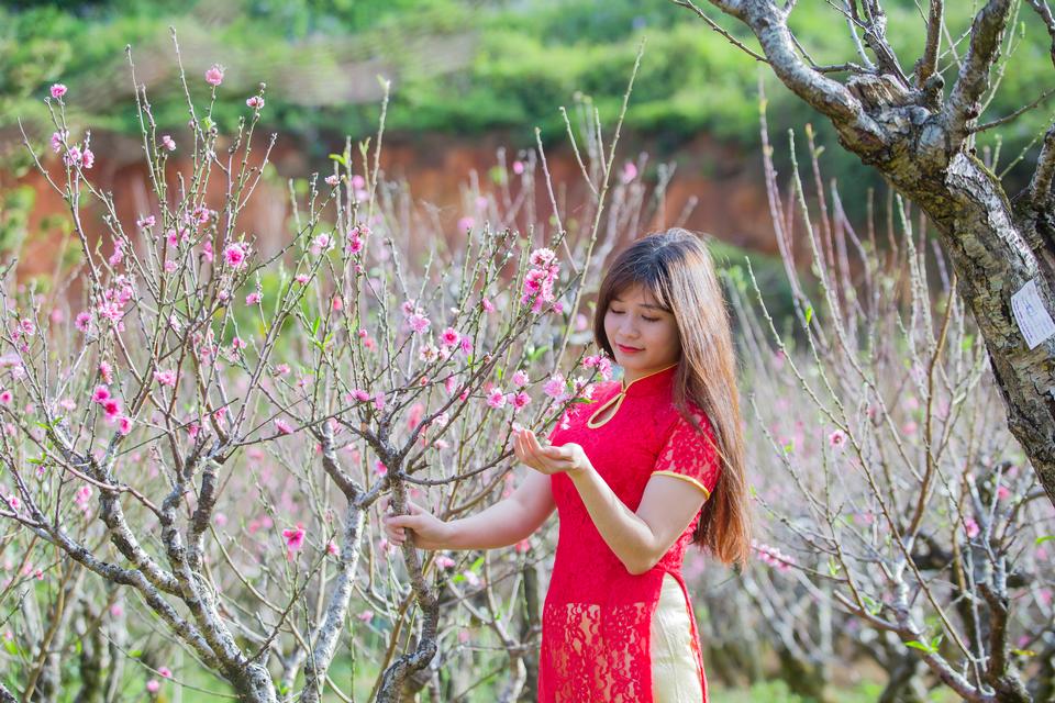 Free download high resolution image - free image free photo free stock image public domain picture  beautiful young Chinese girl smiling in spring garden