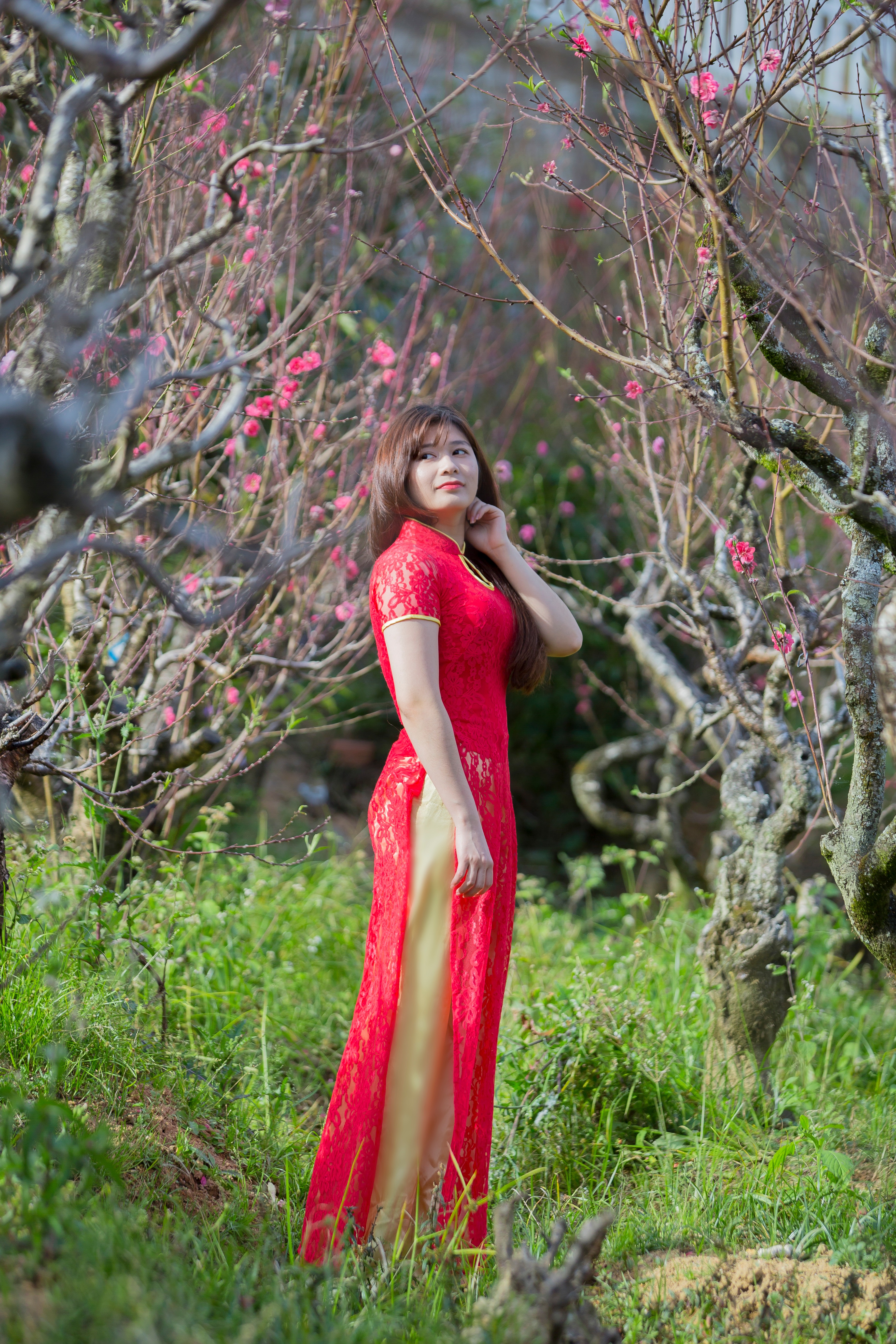 Free download high resolution image - free image free photo free stock image public domain picture -beautiful young Chinese girl smiling in spring garden