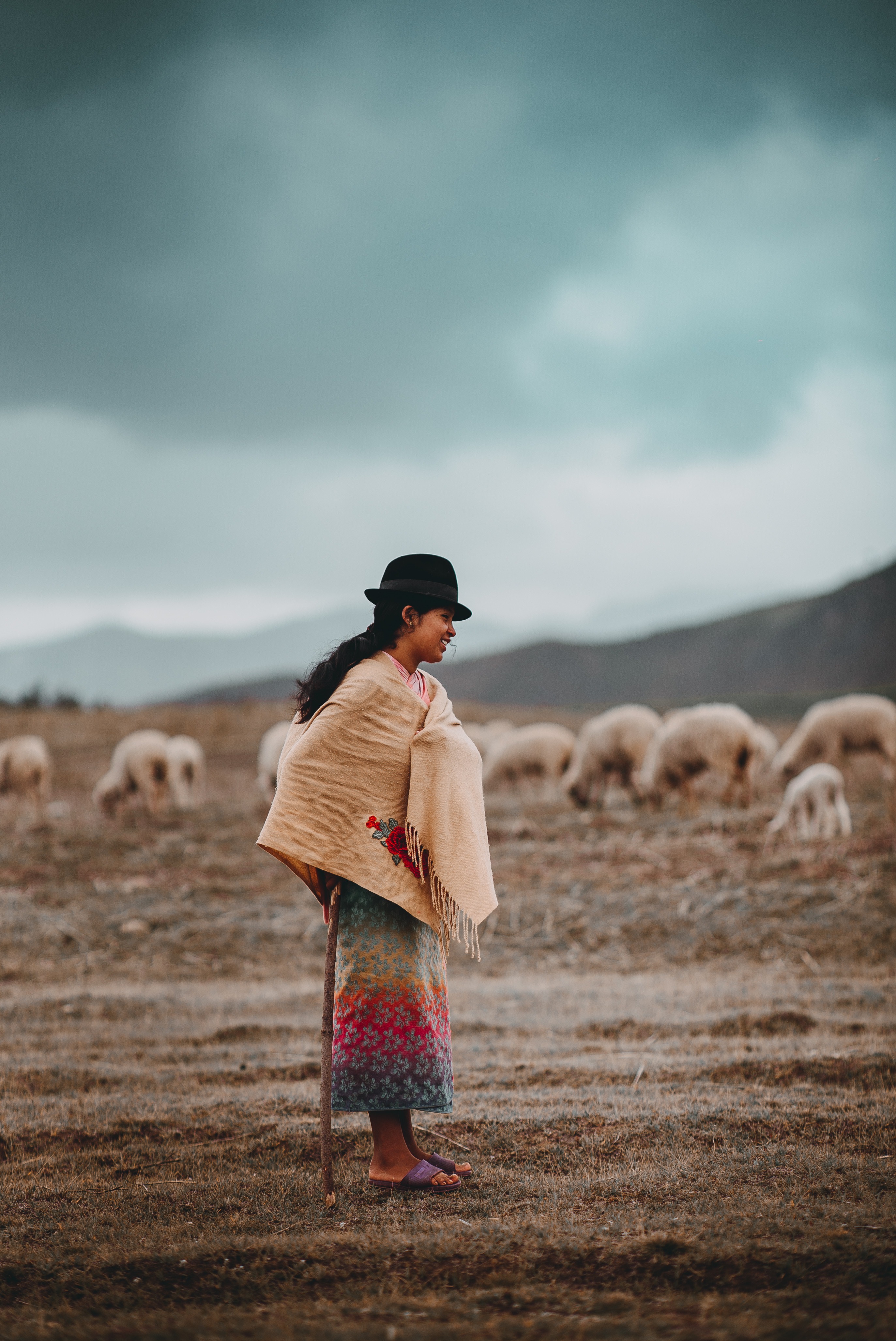 Free download high resolution image - free image free photo free stock image public domain picture -a young lady walking with her Alpacas in the valley