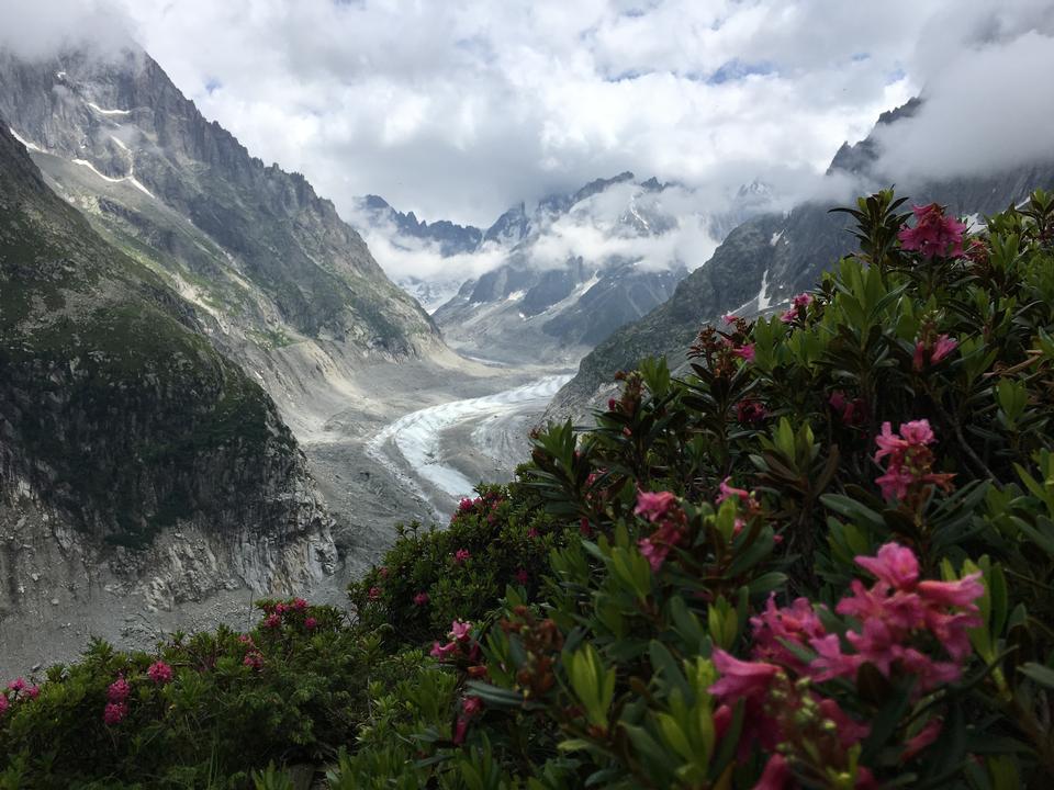 Free download high resolution image - free image free photo free stock image public domain picture  Trekking trail along the mer de glace in Chamonix Mont Blanc