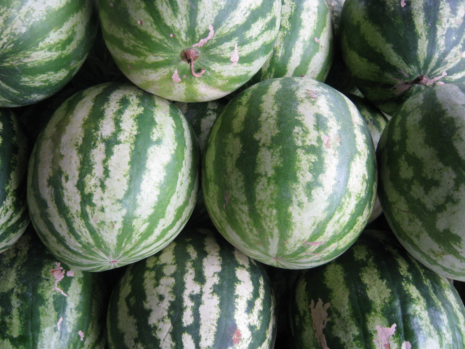 Free download high resolution image - free image free photo free stock image public domain picture -Pile of green watermelons at a fruit market