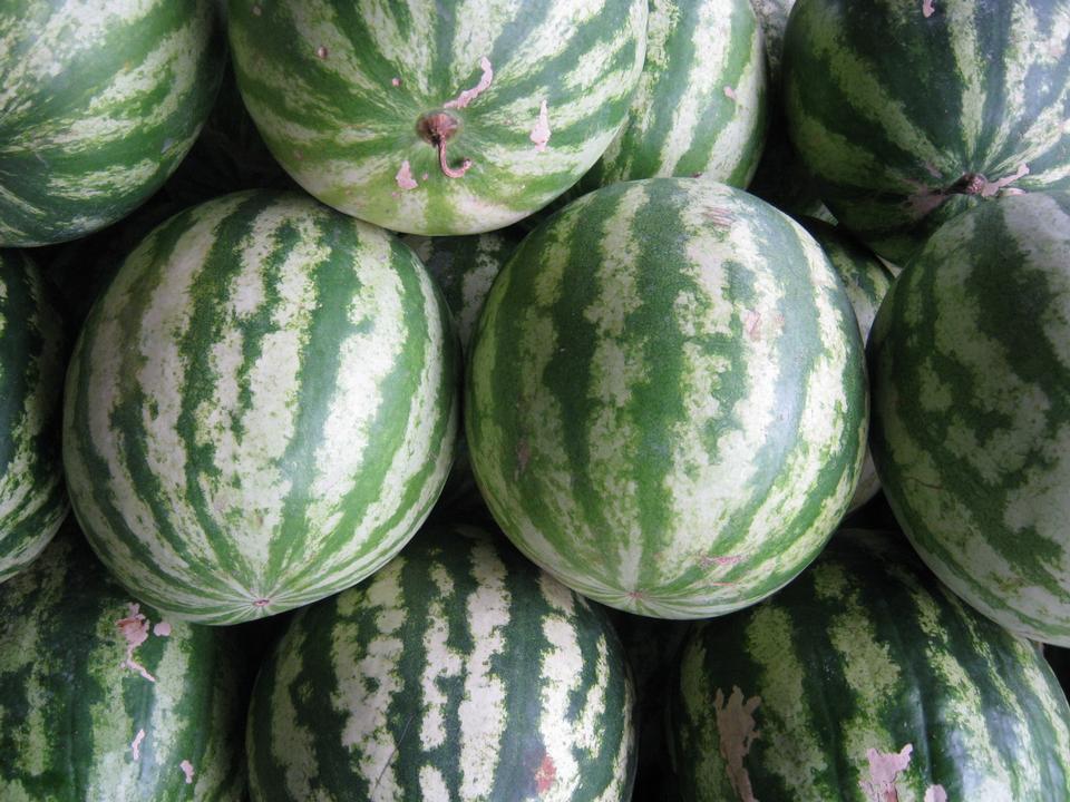 Free download high resolution image - free image free photo free stock image public domain picture  Pile of green watermelons at a fruit market