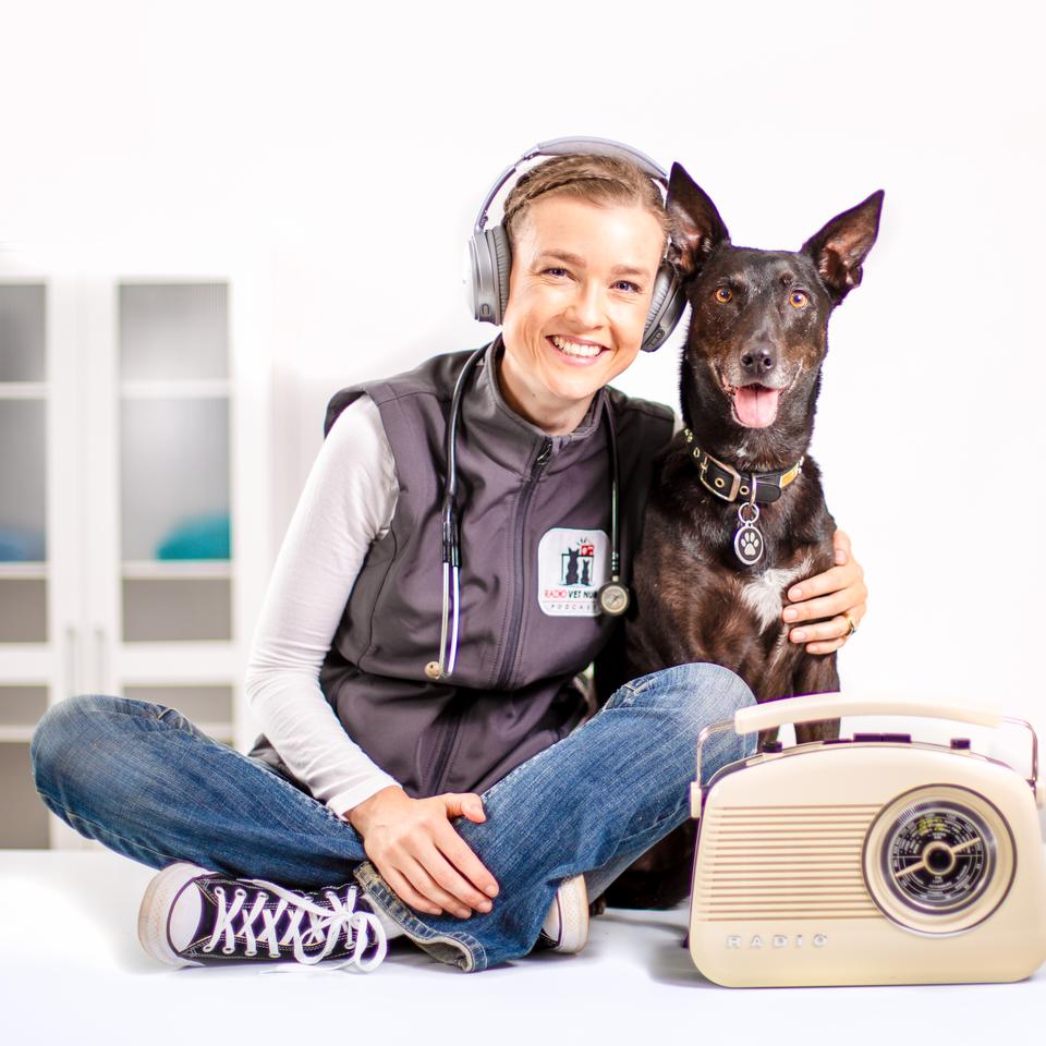 Free download high resolution image - free image free photo free stock image public domain picture  Black dog radio