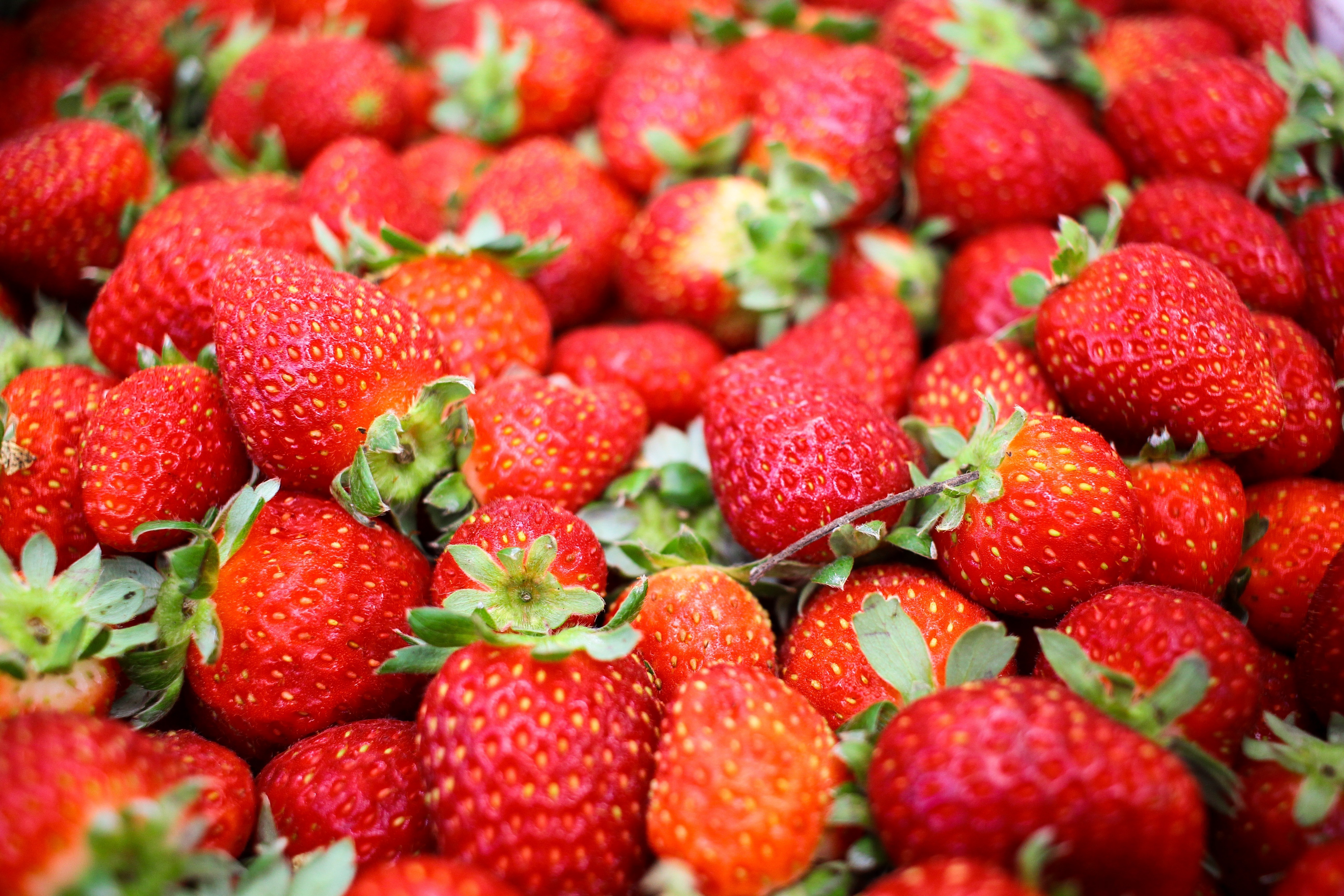 Free download high resolution image - free image free photo free stock image public domain picture -Close up of many Korea strawberry stacked together