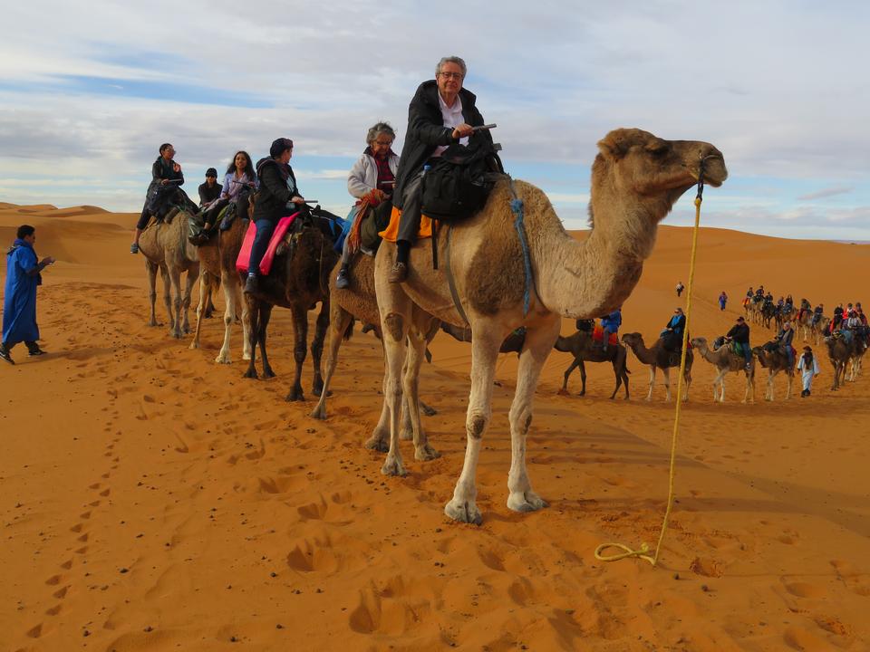 Free download high resolution image - free image free photo free stock image public domain picture  Camel caravan on sand dunes in the desert at sunrise