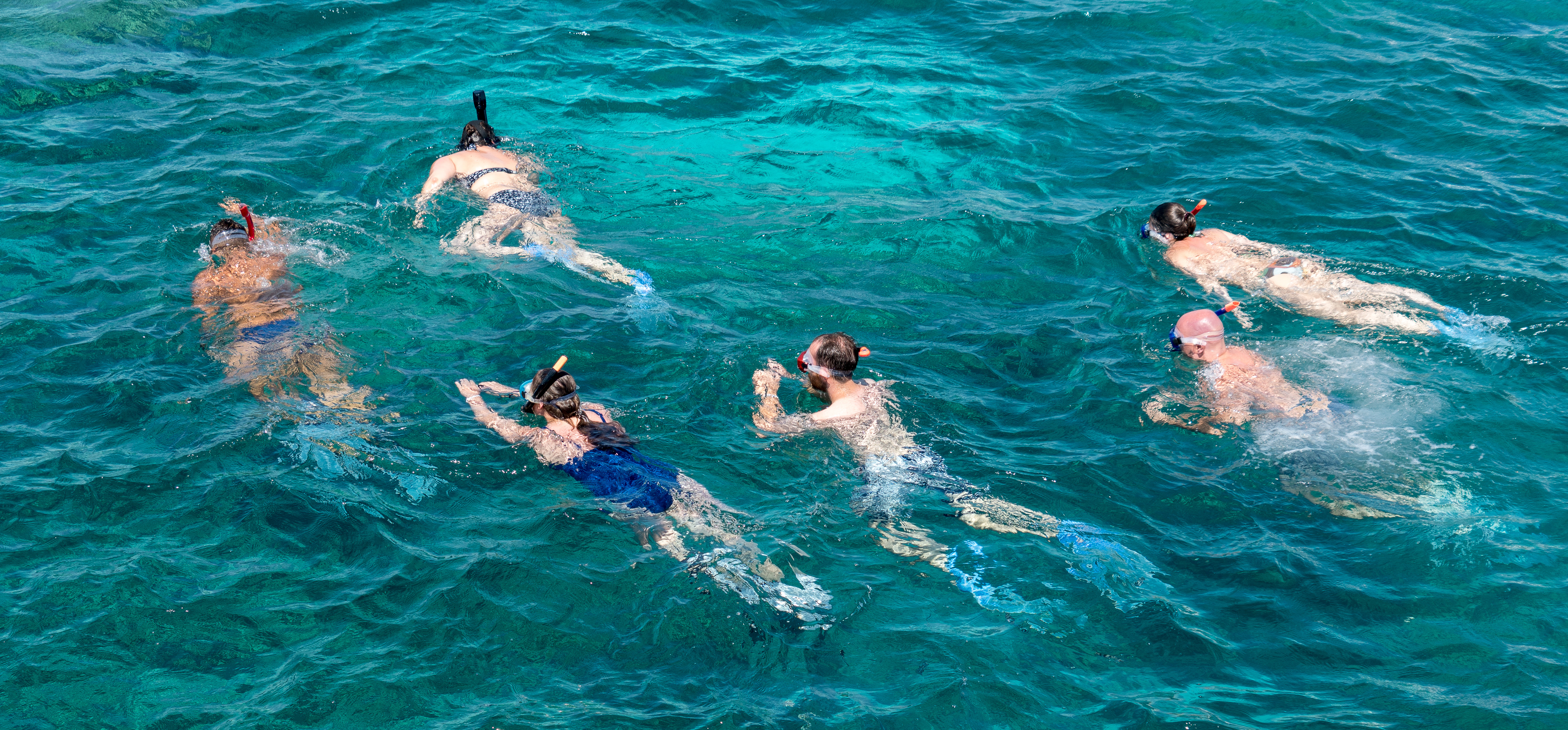 Free download high resolution image - free image free photo free stock image public domain picture -skin diving to sea reef in clear water