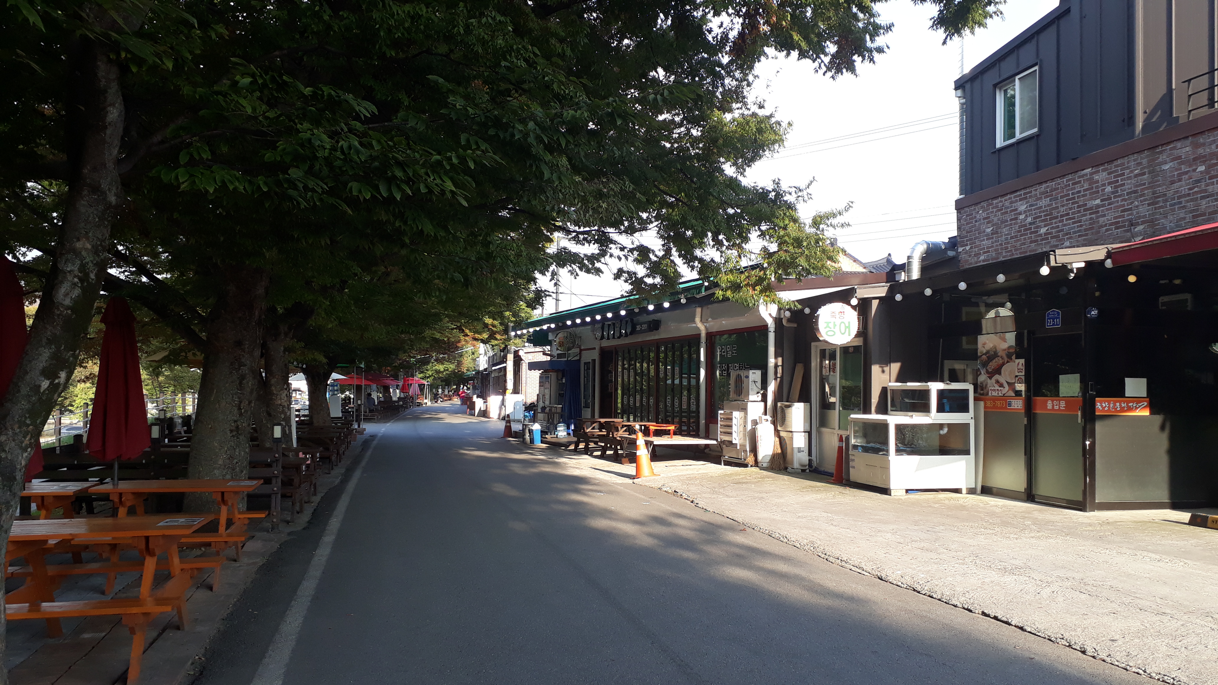 Free download high resolution image - free image free photo free stock image public domain picture -The noodle street in Damyang, Korea