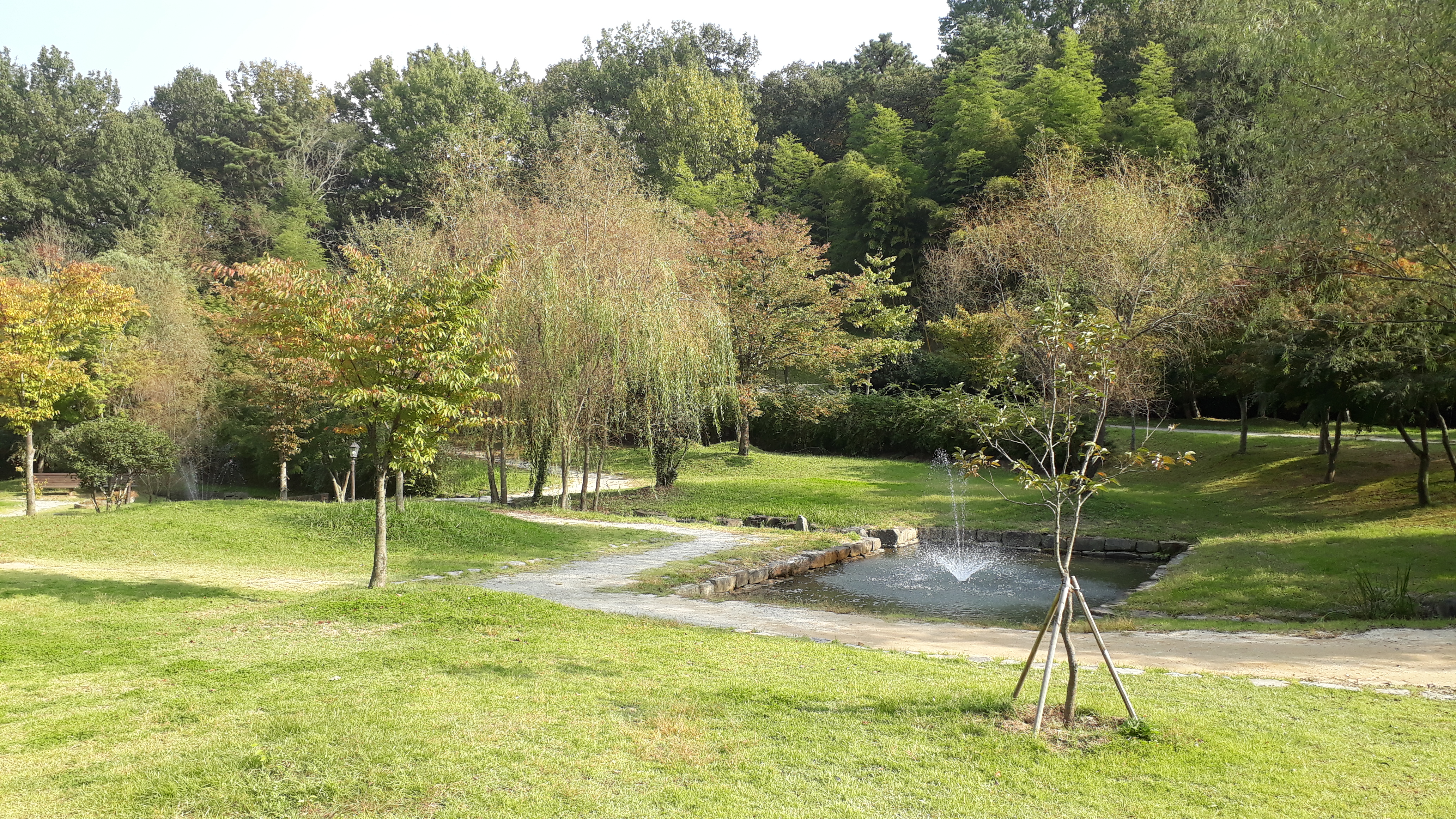 Free download high resolution image - free image free photo free stock image public domain picture -Damyang Juknokwon in South Korea