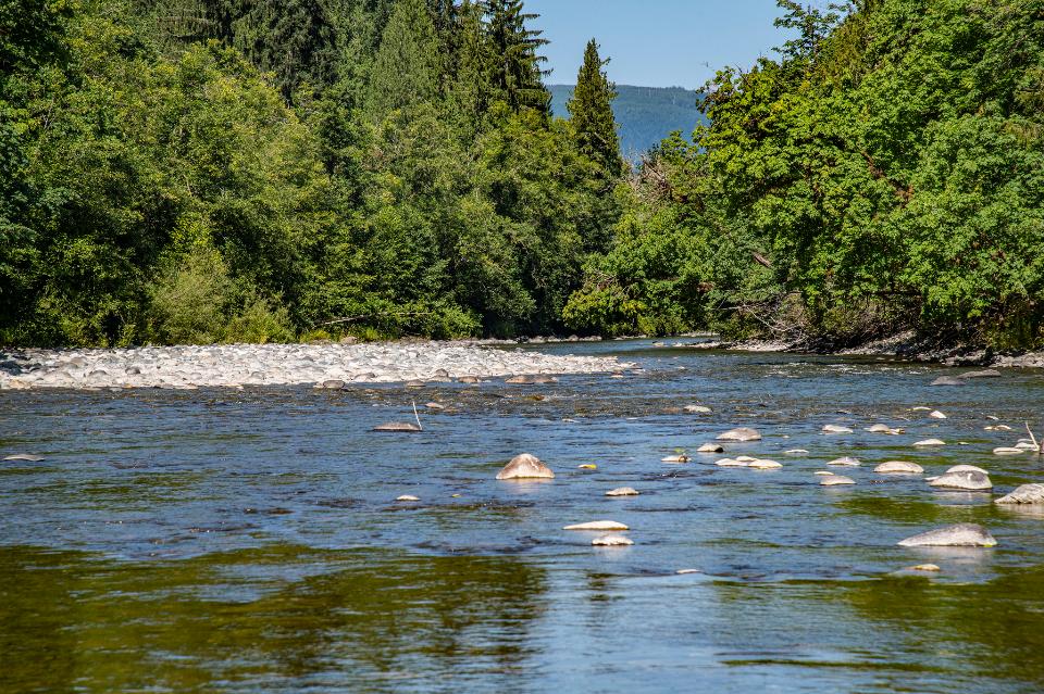 Free download high resolution image - free image free photo free stock image public domain picture  the South Fork Nooksack River