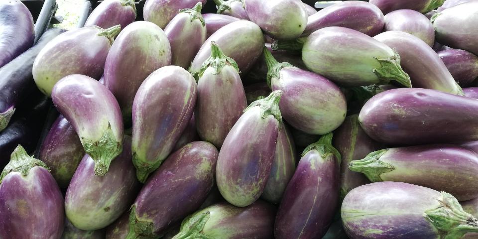 Free download high resolution image - free image free photo free stock image public domain picture  eggplant