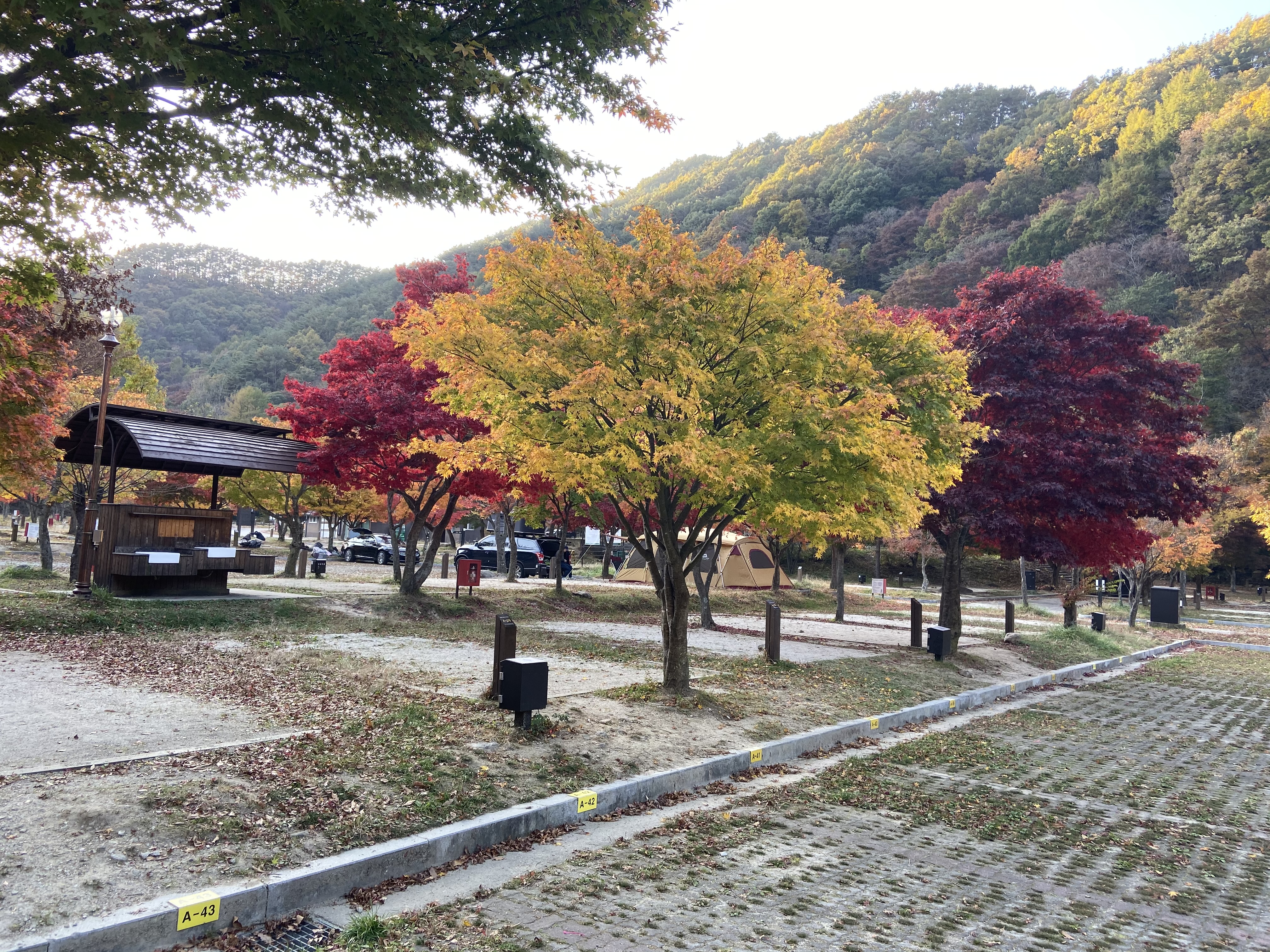 Free download high resolution image - free image free photo free stock image public domain picture -Dalgung Auto Camp ground