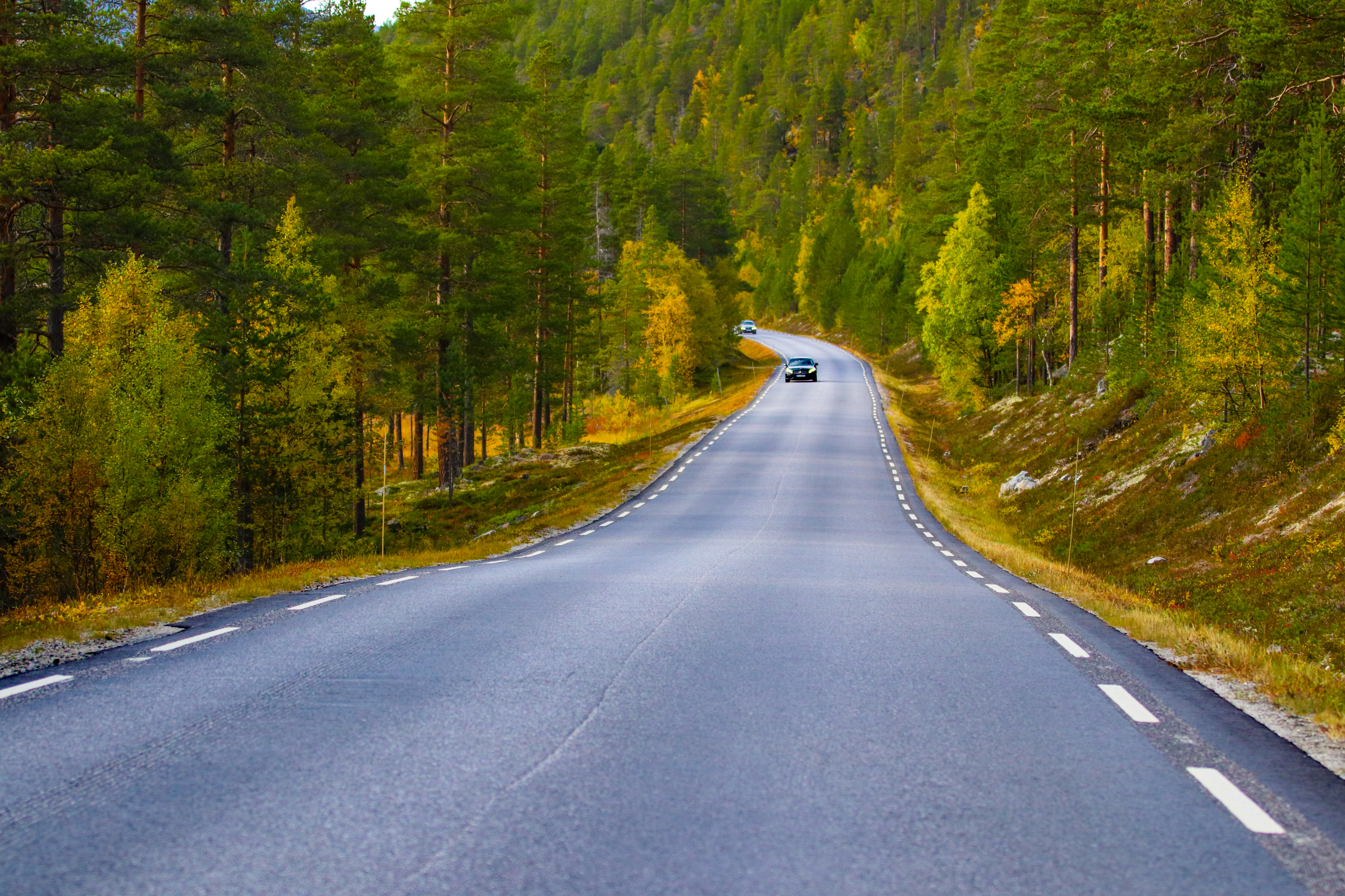 Free download high resolution image - free image free photo free stock image public domain picture -Norwegian country road in the summer among the mountains