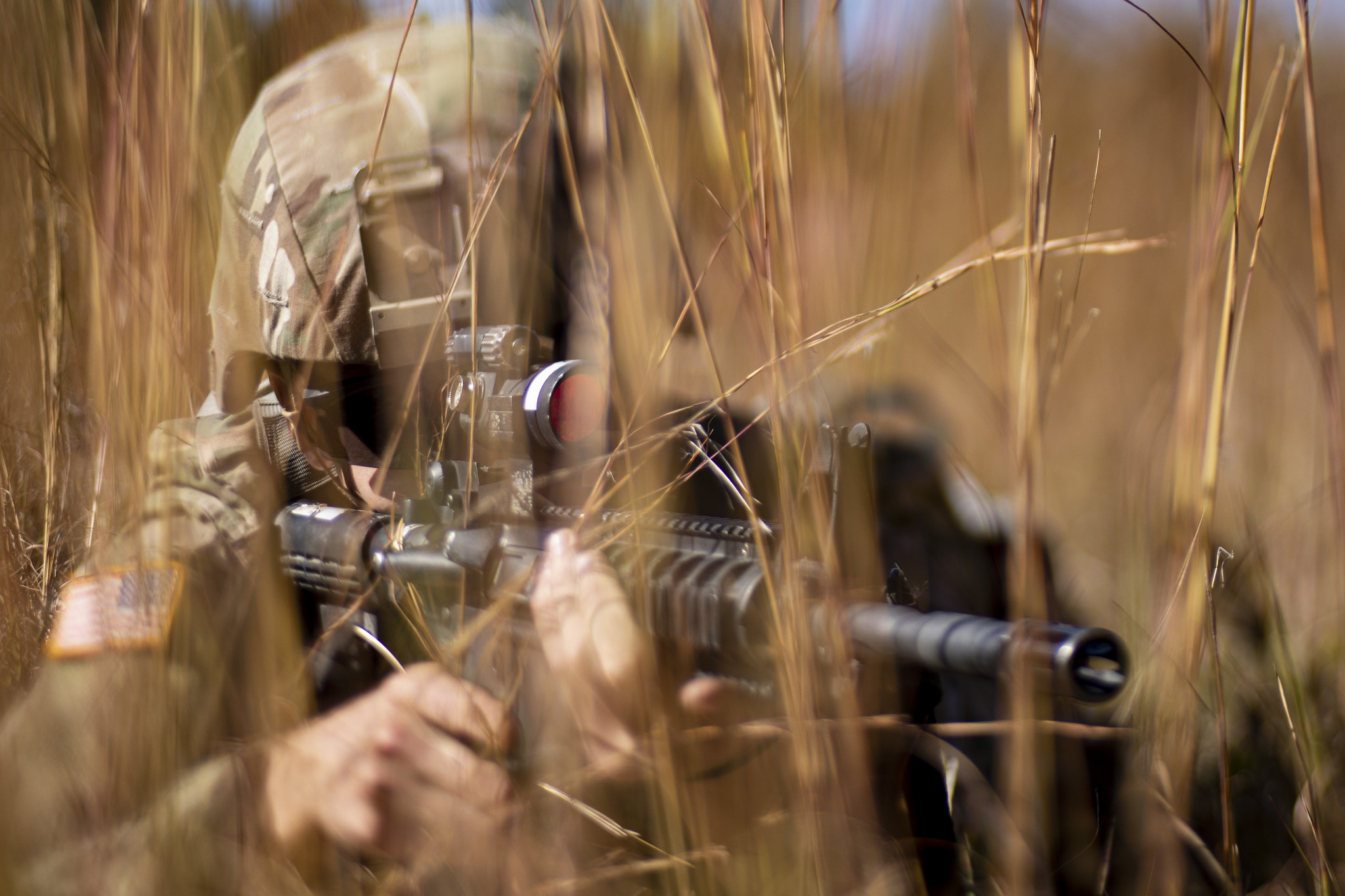 Free download high resolution image - free image free photo free stock image public domain picture -Soldier hidden into spruce branches on forest territory