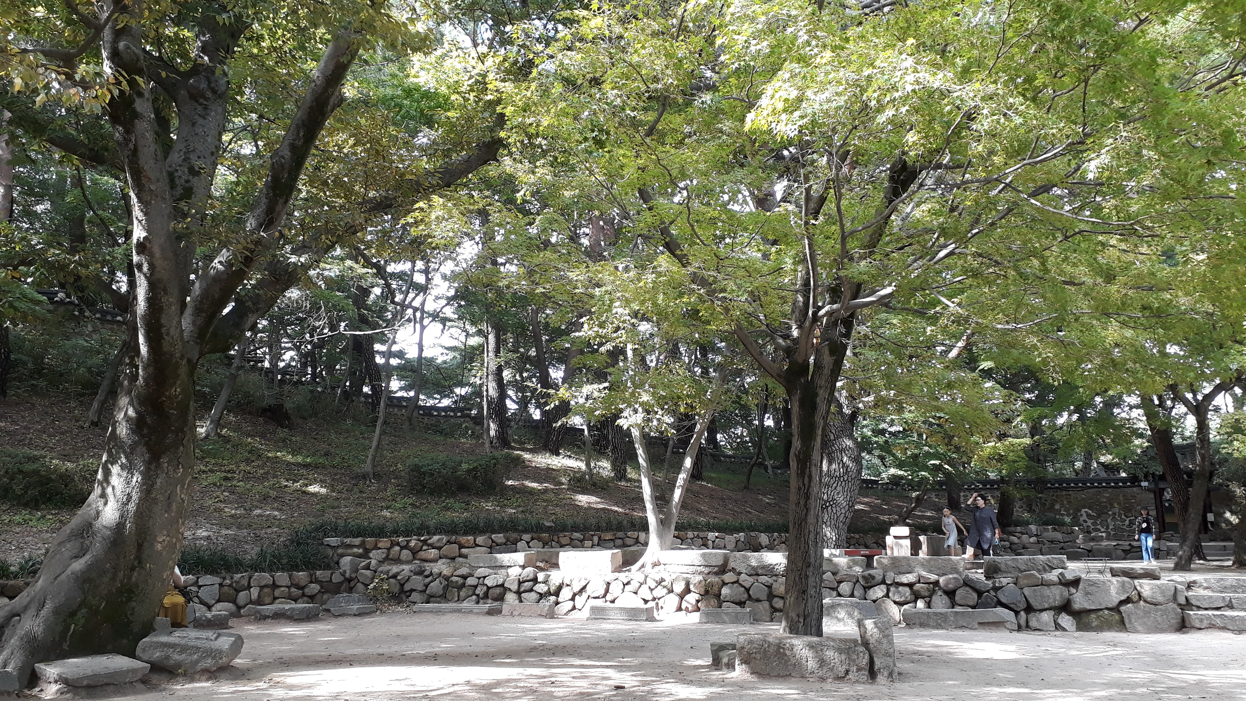 Free download high resolution image - free image free photo free stock image public domain picture -Bulguksa temple in Gyeongju South Korea