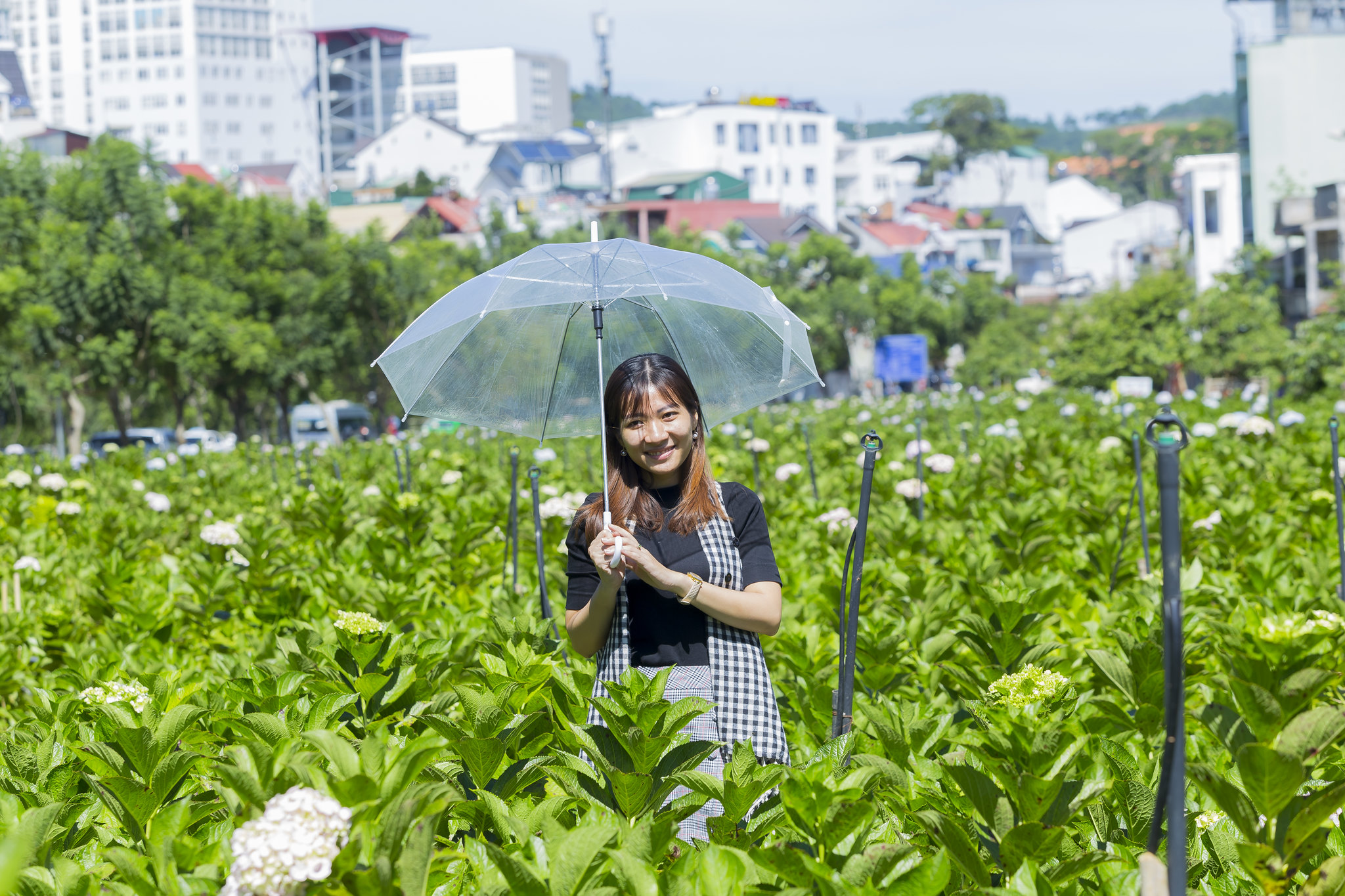 Free download high resolution image - free image free photo free stock image public domain picture -Beautiful Asian Girl smell of the flower