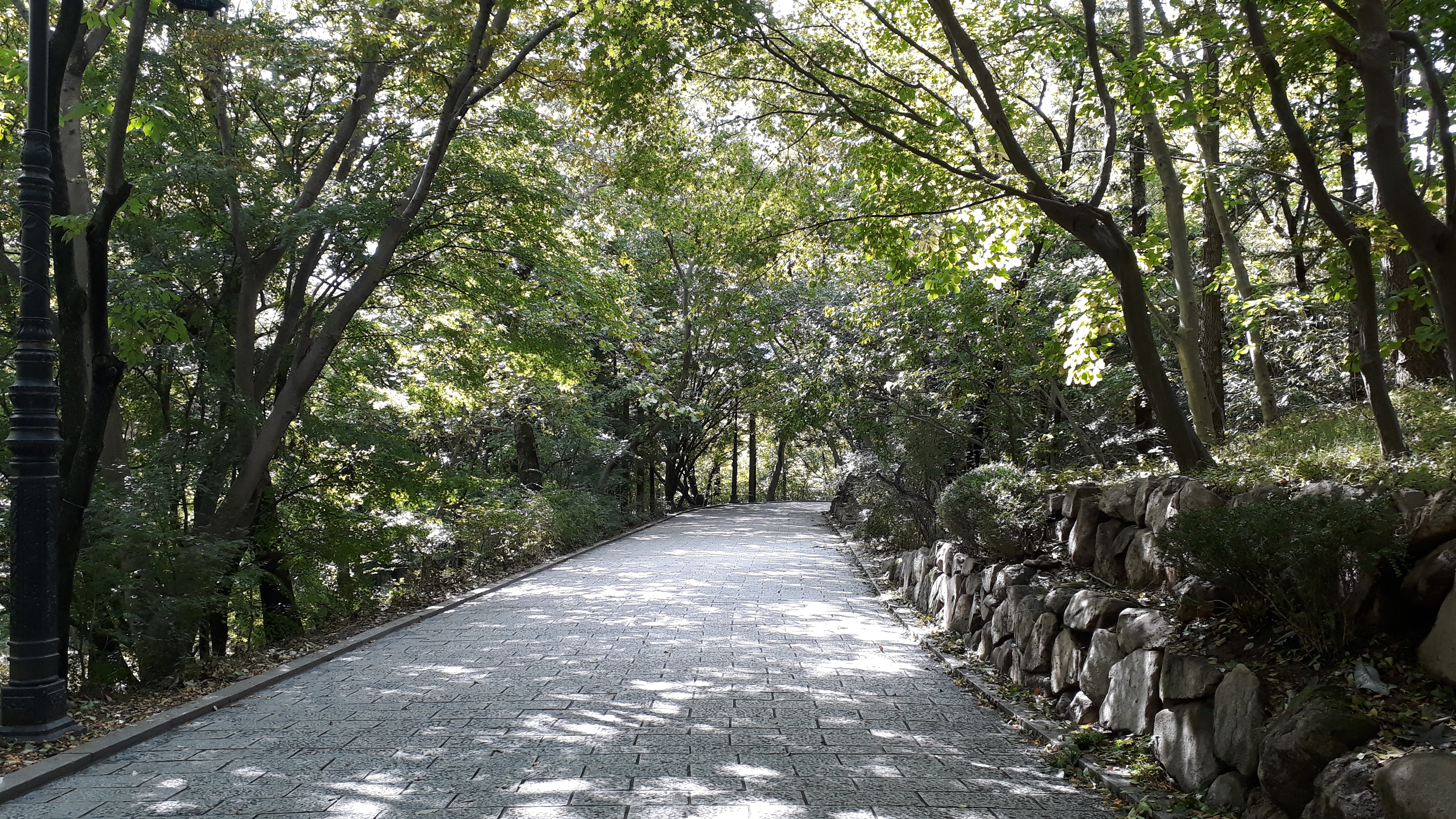 Free download high resolution image - free image free photo free stock image public domain picture -Bulguksa temple in Gyeongju South Korea