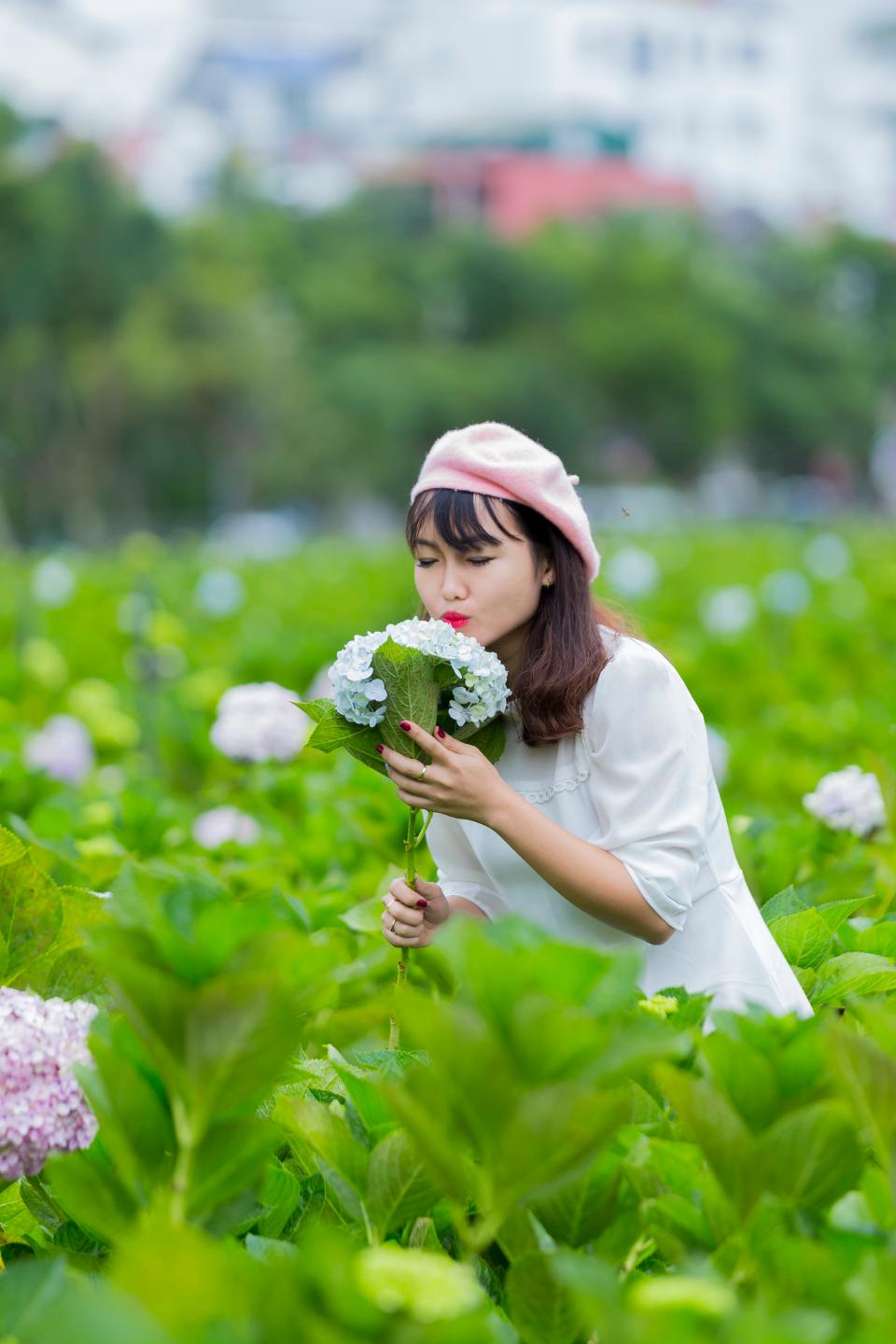 Free download high resolution image - free image free photo free stock image public domain picture  Beautiful Asian Girl smell of the flower