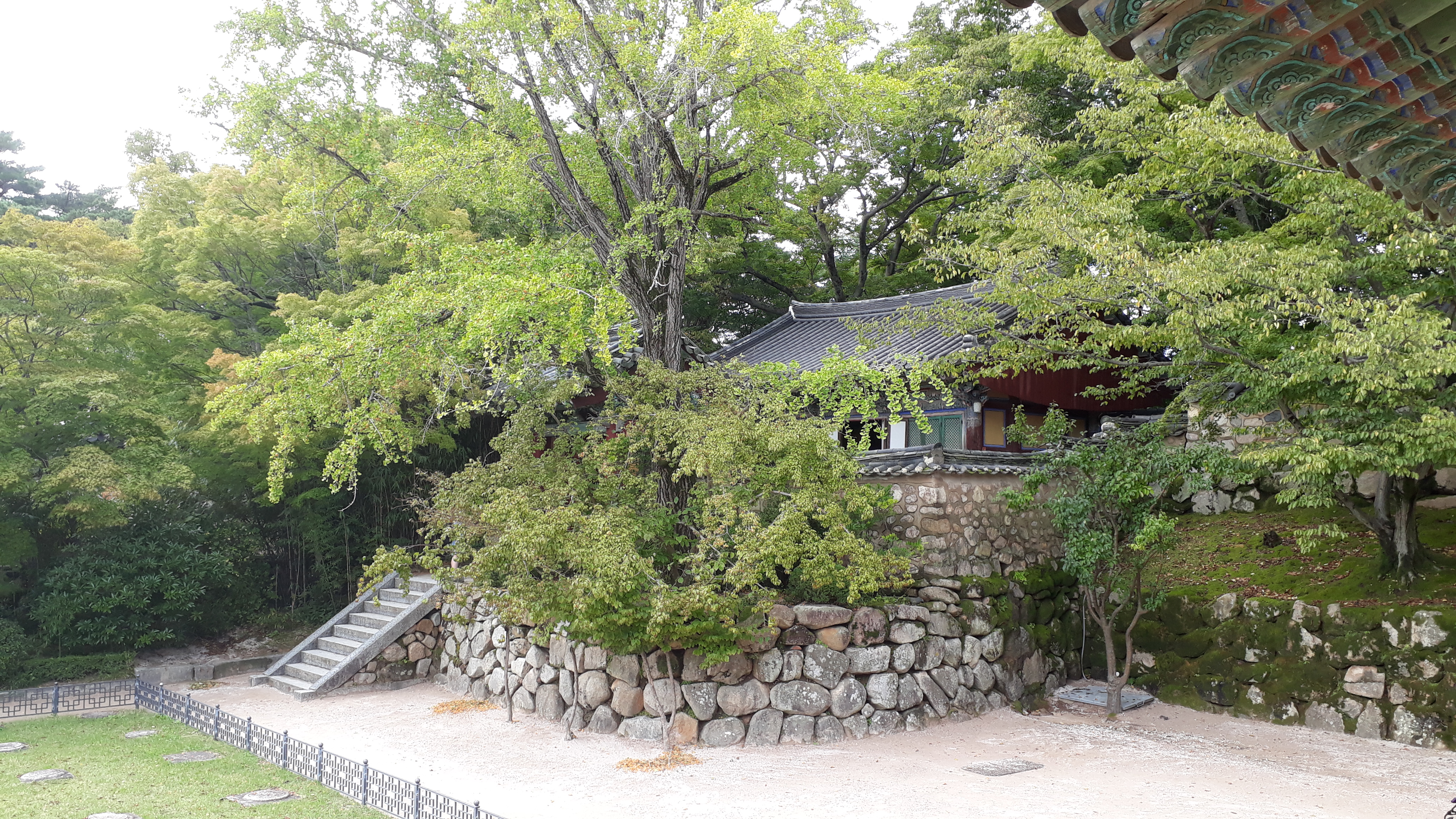 Free download high resolution image - free image free photo free stock image public domain picture -Bulguksa temple in Gyeongju South Korea