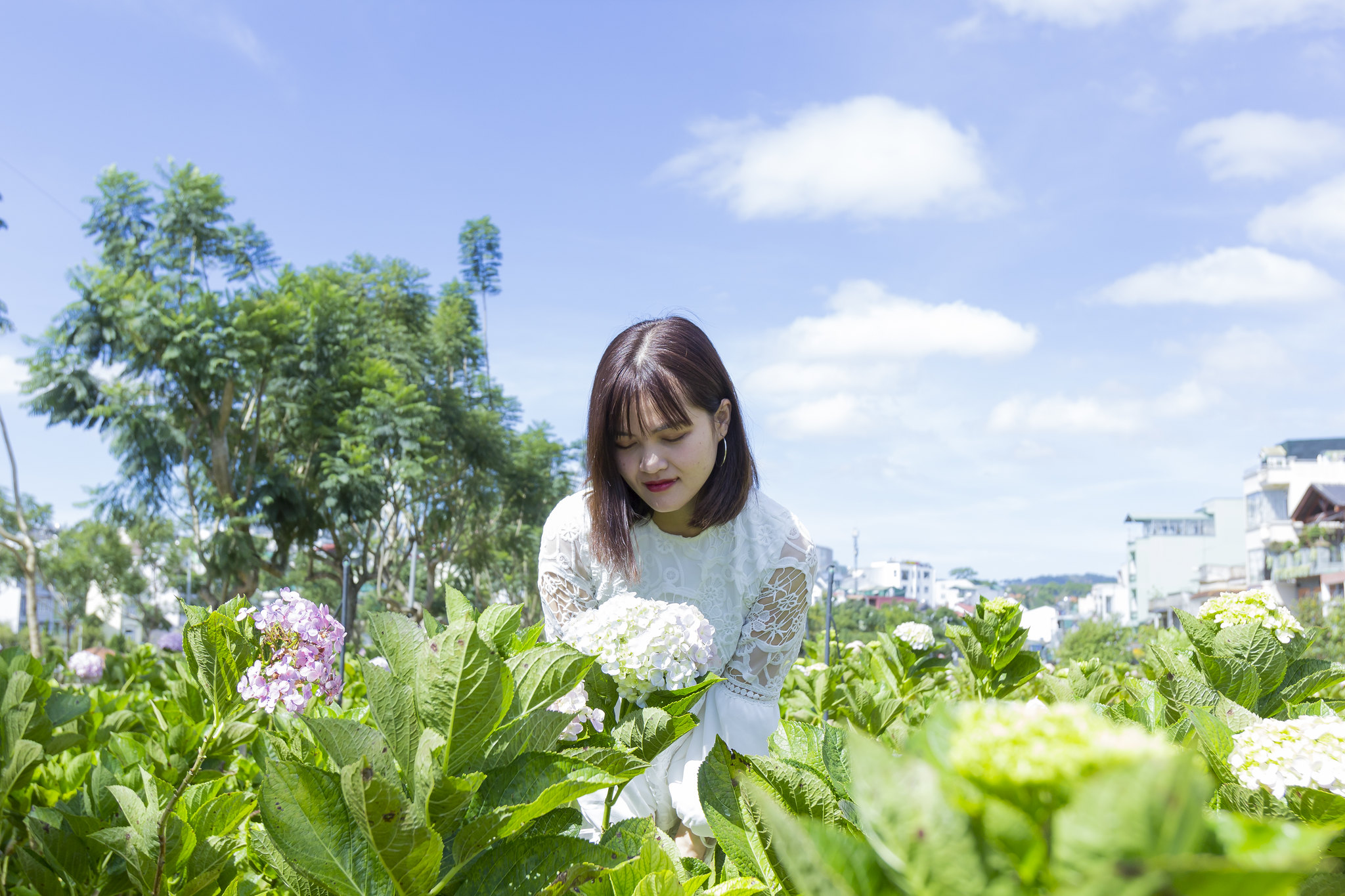 Free download high resolution image - free image free photo free stock image public domain picture -Beautiful Asian Girl smell of the flower