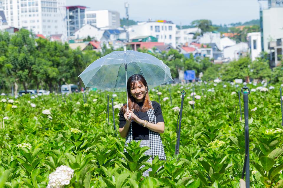 Free download high resolution image - free image free photo free stock image public domain picture  Beautiful Asian Girl smell of the flower