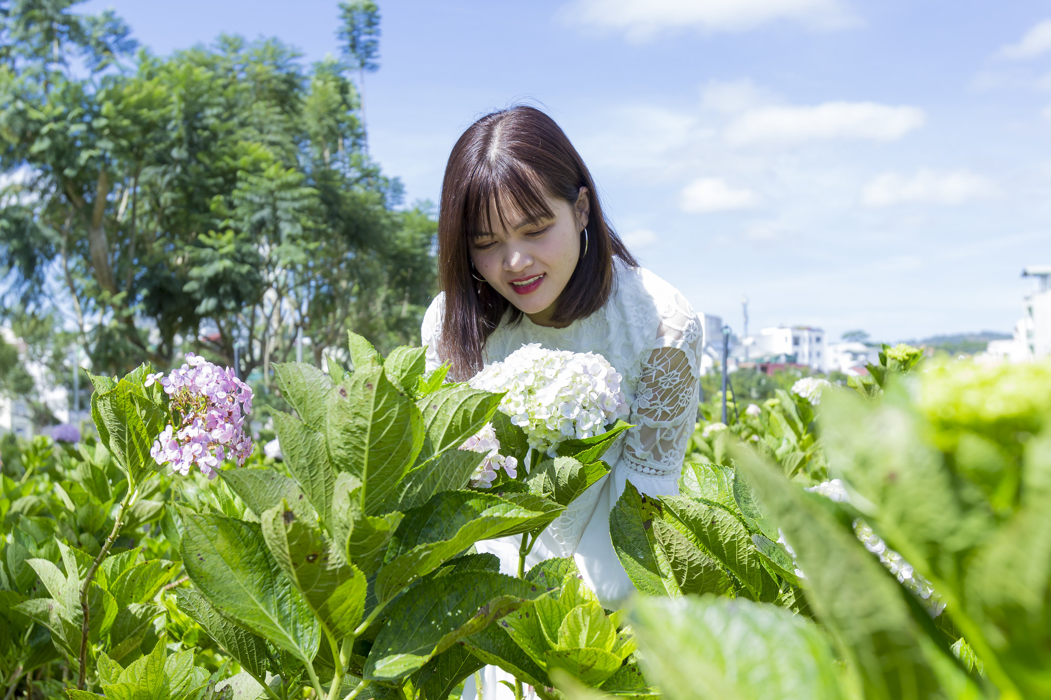 Free download high resolution image - free image free photo free stock image public domain picture -Beautiful Asian Girl smell of the flower