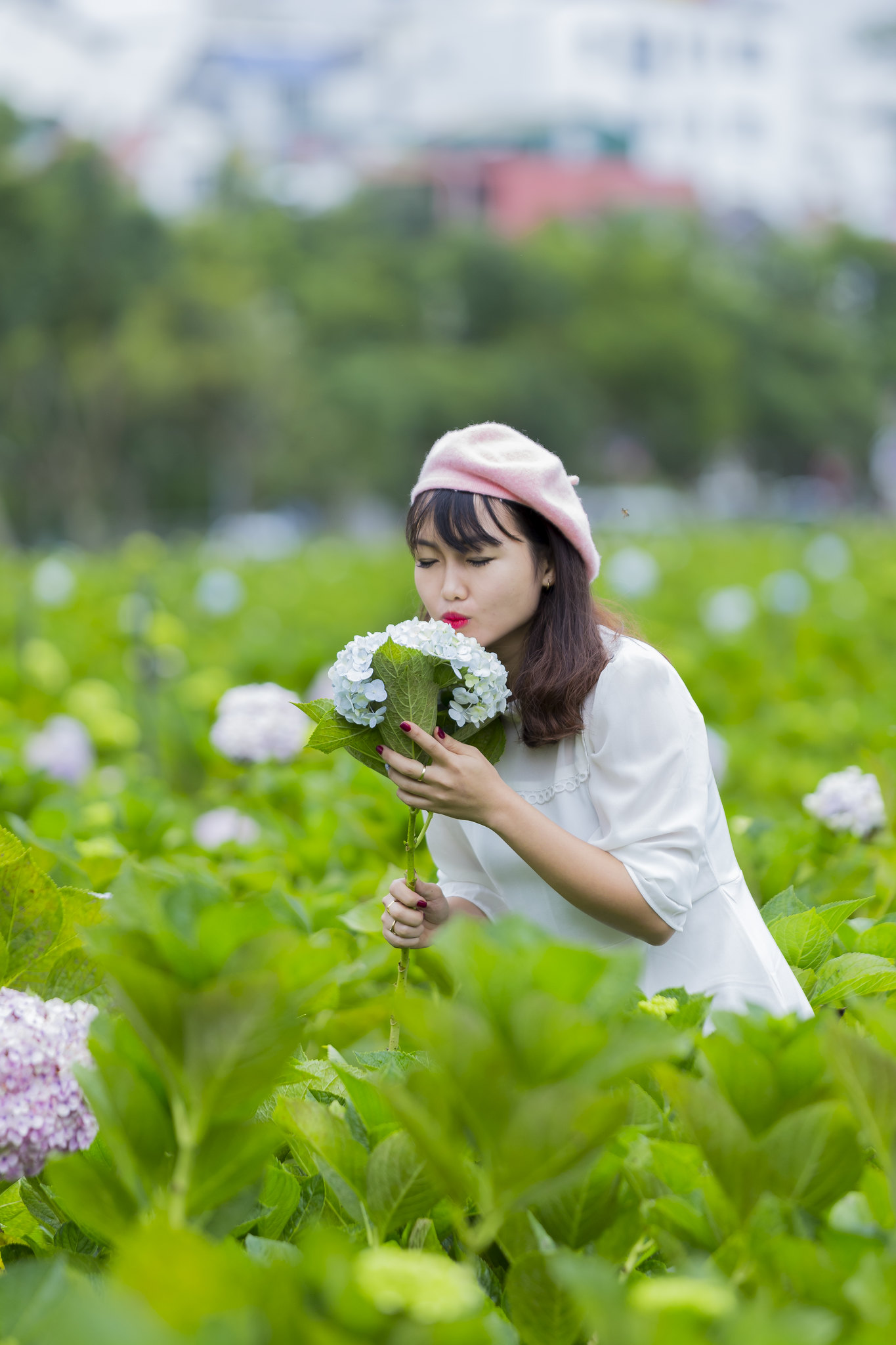 Free download high resolution image - free image free photo free stock image public domain picture -Beautiful Asian Girl smell of the flower