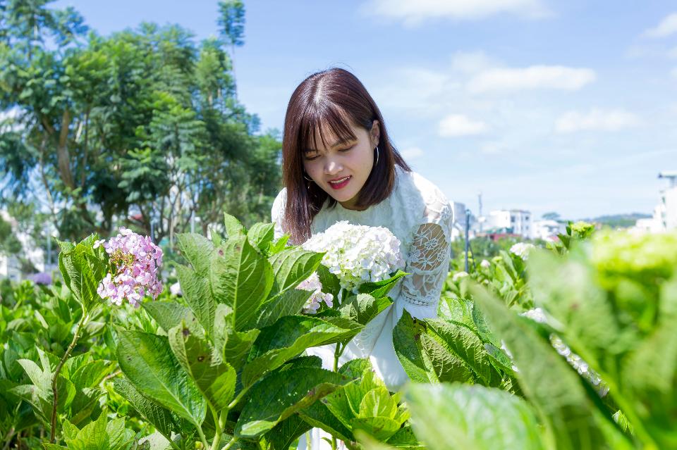 Free download high resolution image - free image free photo free stock image public domain picture  Beautiful Asian Girl smell of the flower