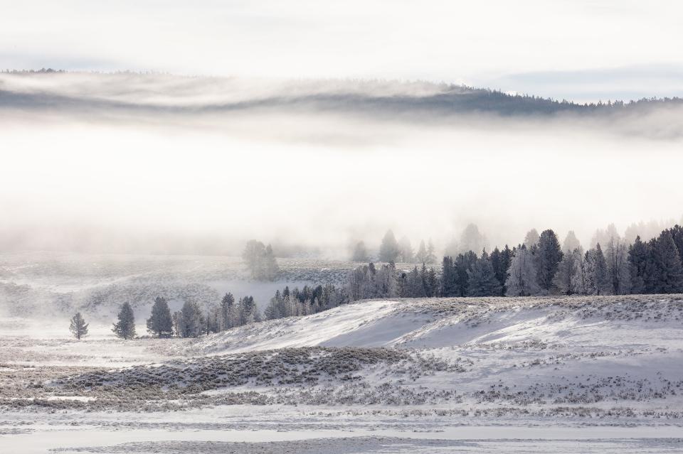 Free download high resolution image - free image free photo free stock image public domain picture  Fog and frost in Hayden Valley