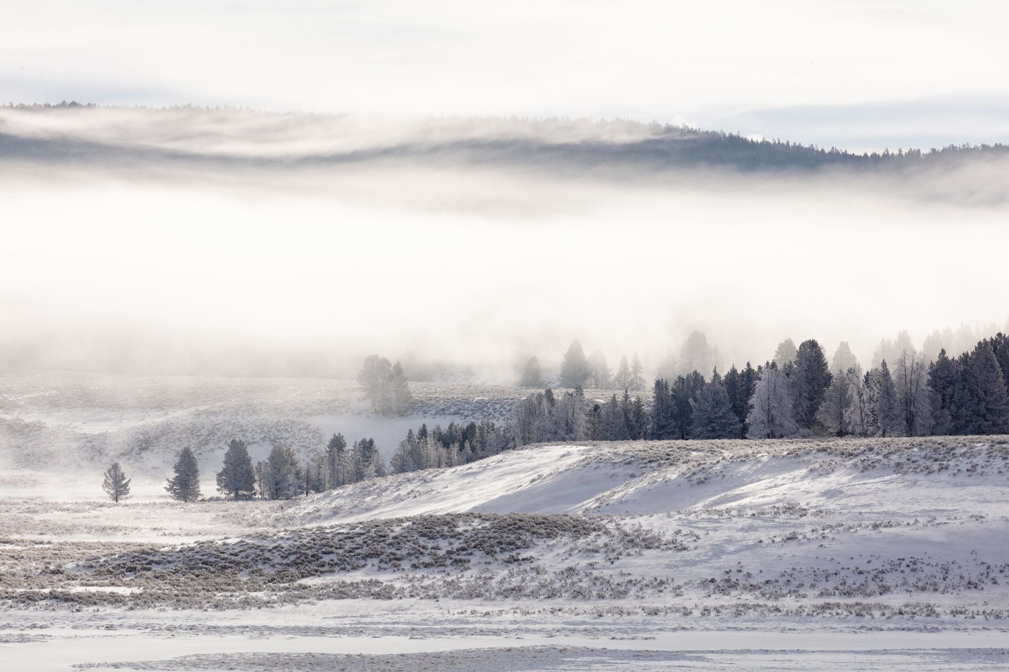 Free download high resolution image - free image free photo free stock image public domain picture -Fog and frost in Hayden Valley