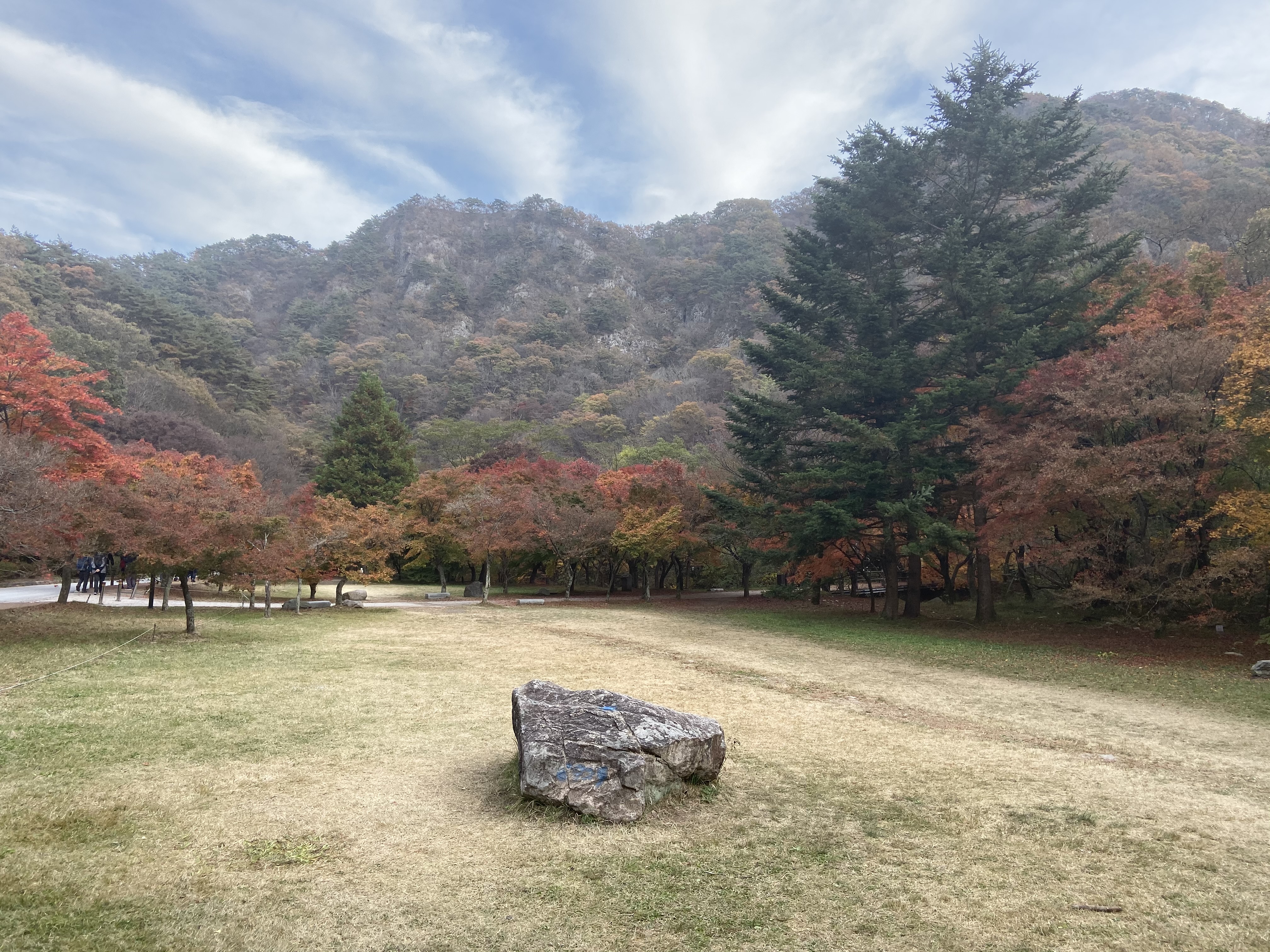 Free download high resolution image - free image free photo free stock image public domain picture -Fall Foliage Naejangsan National Park