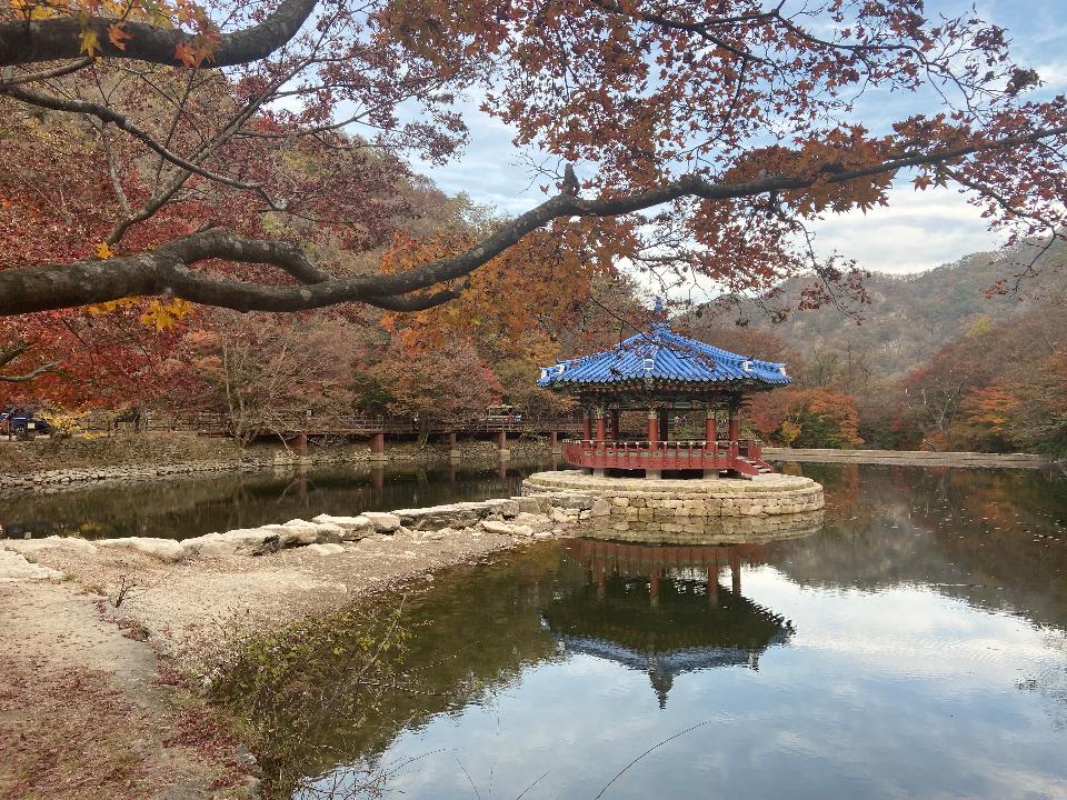 Free download high resolution image - free image free photo free stock image public domain picture  Fall Foliage Naejangsan National Park