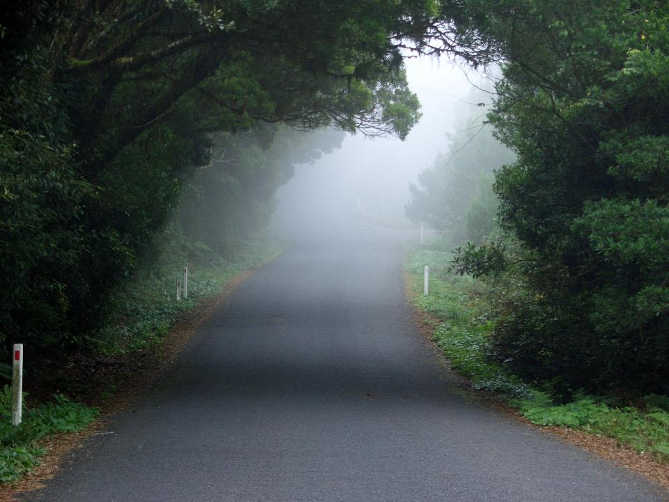 Free download high resolution image - free image free photo free stock image public domain picture  An asphalt road that goes through a misty dark