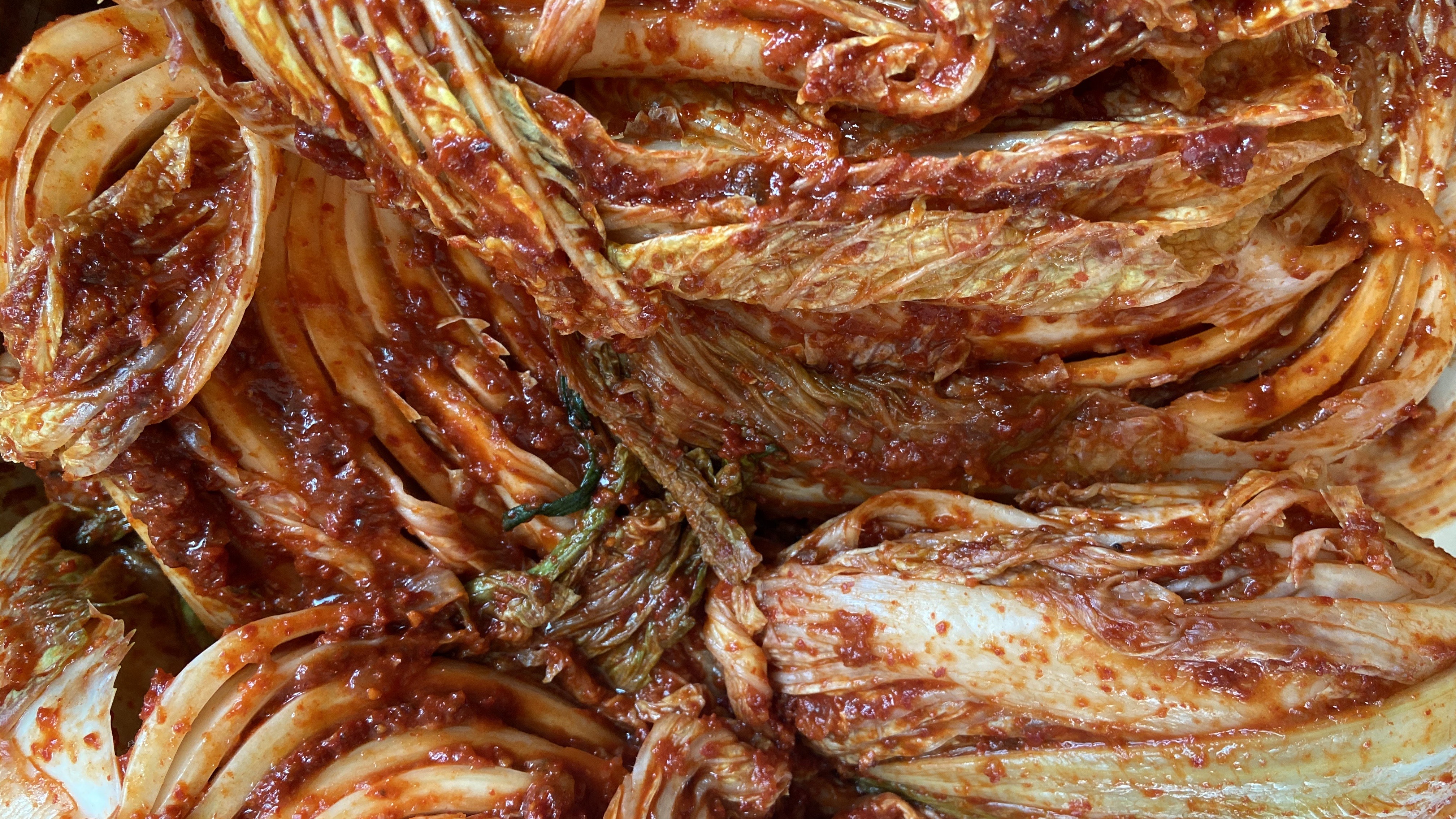 Free download high resolution image - free image free photo free stock image public domain picture -Gimjang Kimchi