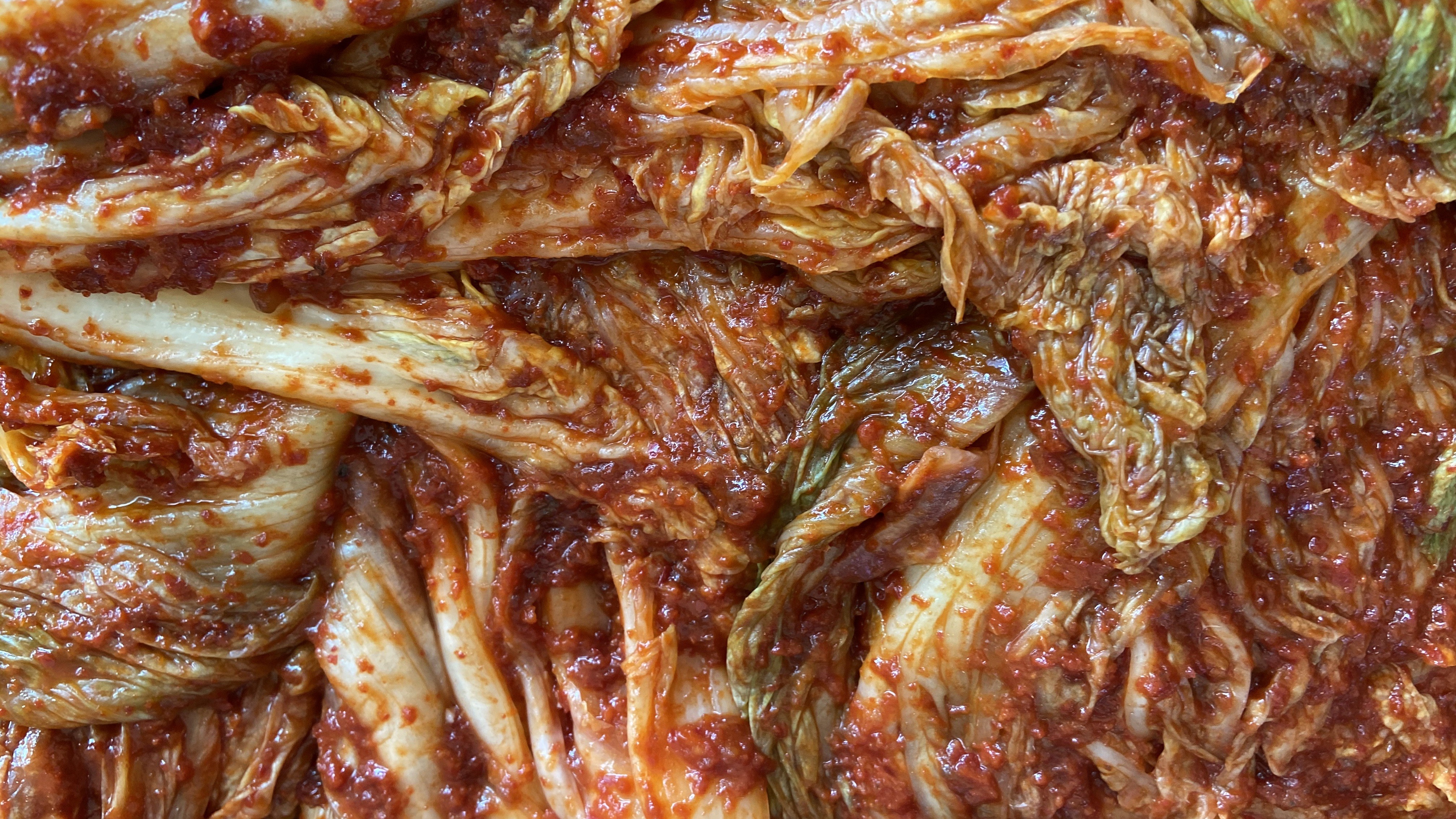 Free download high resolution image - free image free photo free stock image public domain picture -Gimjang Kimchi