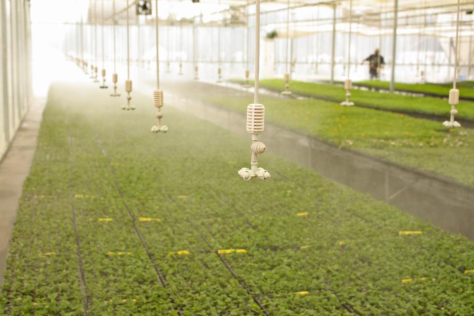 Free download high resolution image - free image free photo free stock image public domain picture  Irrigation in a Greenhouse