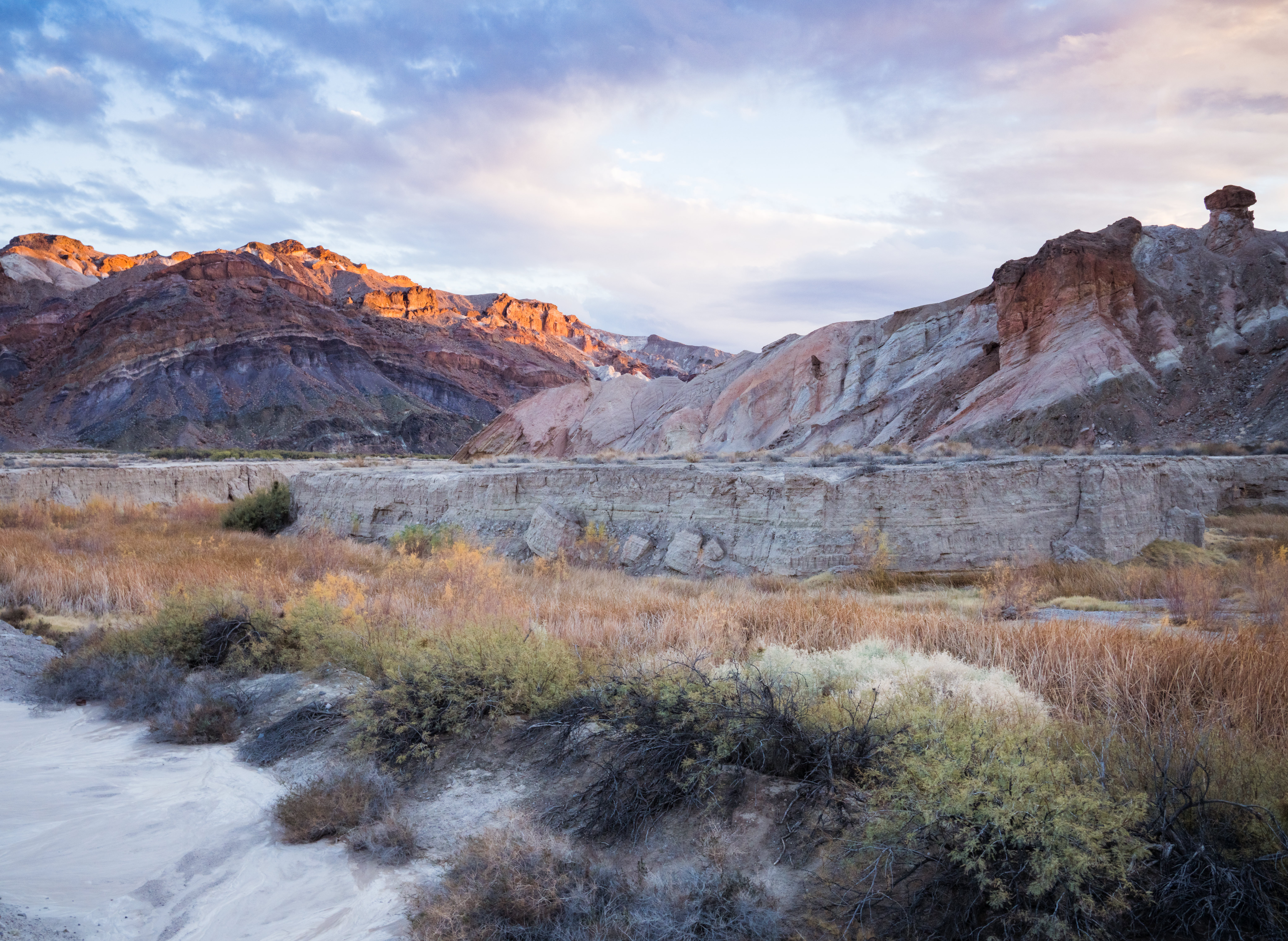 Free download high resolution image - free image free photo free stock image public domain picture -China Ranch Date Farm Trail