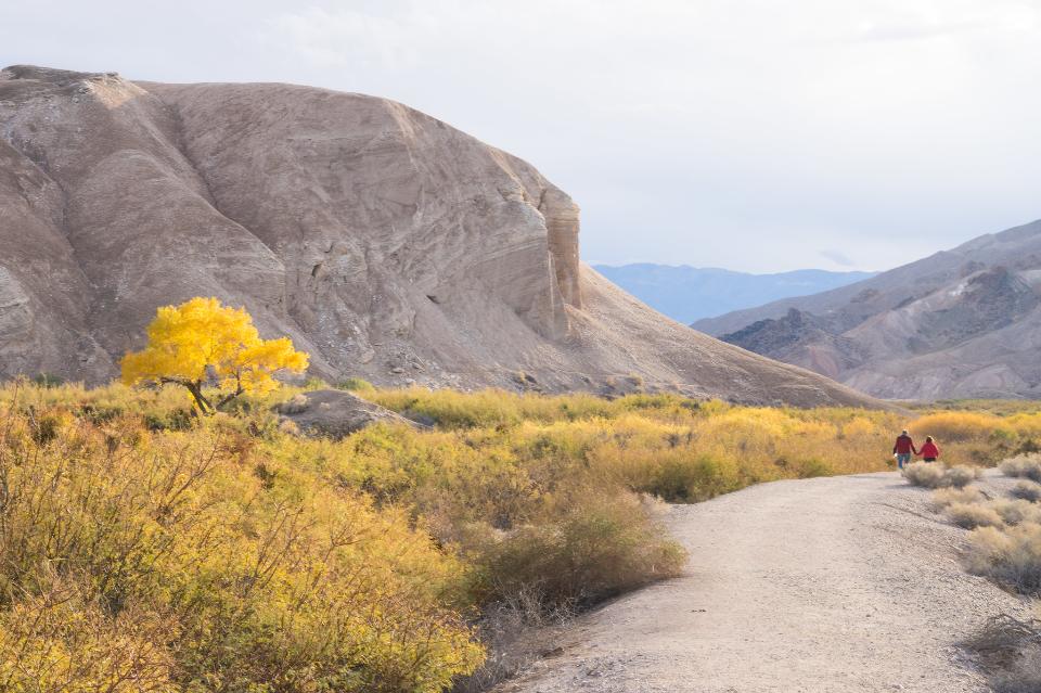 Free download high resolution image - free image free photo free stock image public domain picture  China Ranch Date Farm Trail