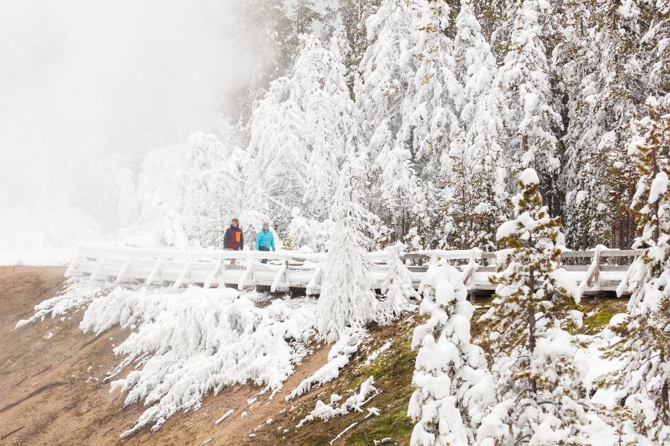 Free download high resolution image - free image free photo free stock image public domain picture  Exploring along a rime ice-covered boardwalk