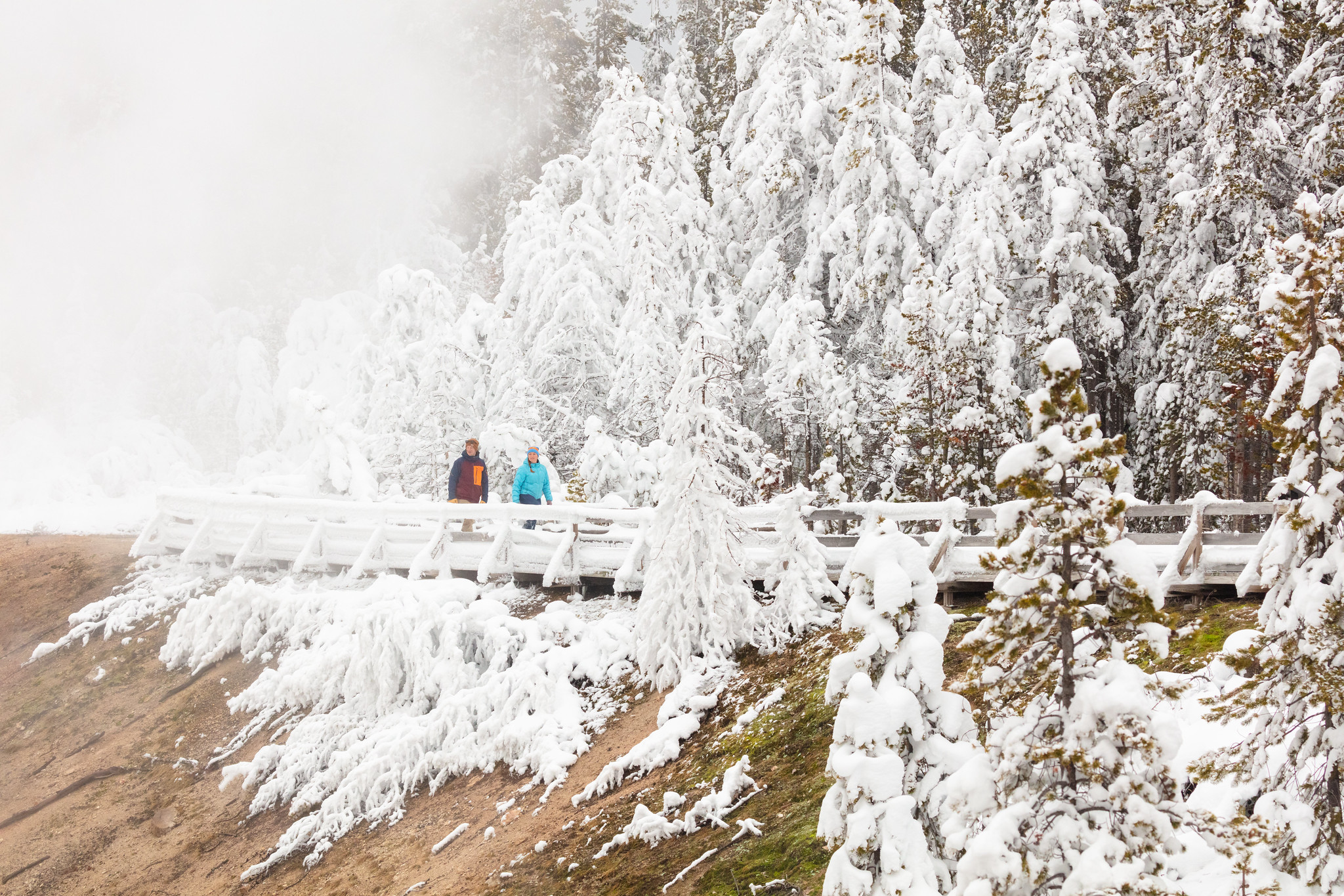 Free download high resolution image - free image free photo free stock image public domain picture -Exploring along a rime ice-covered boardwalk