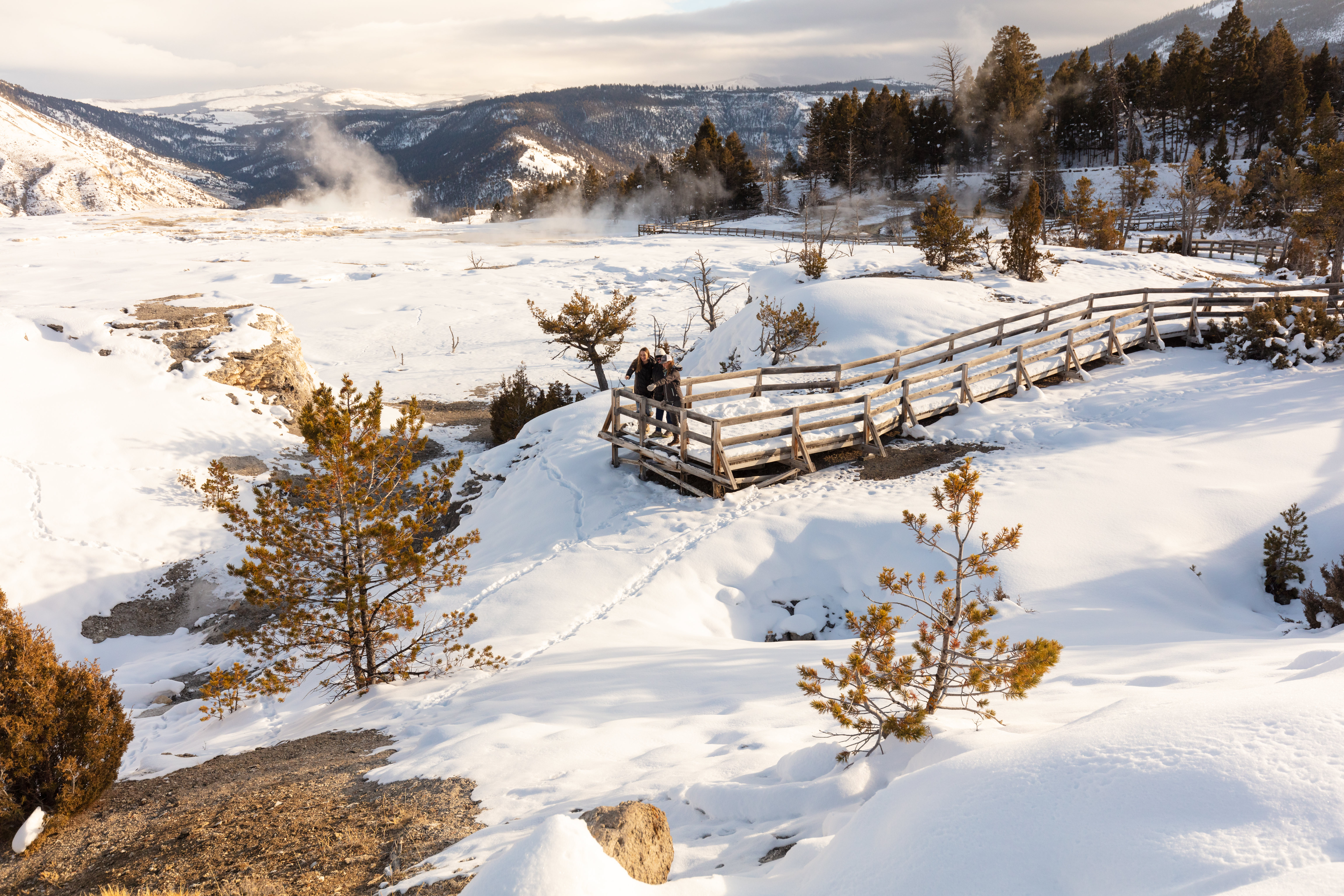 Free download high resolution image - free image free photo free stock image public domain picture -Inspecting tracks in the snow at Mammoth Hot Springs