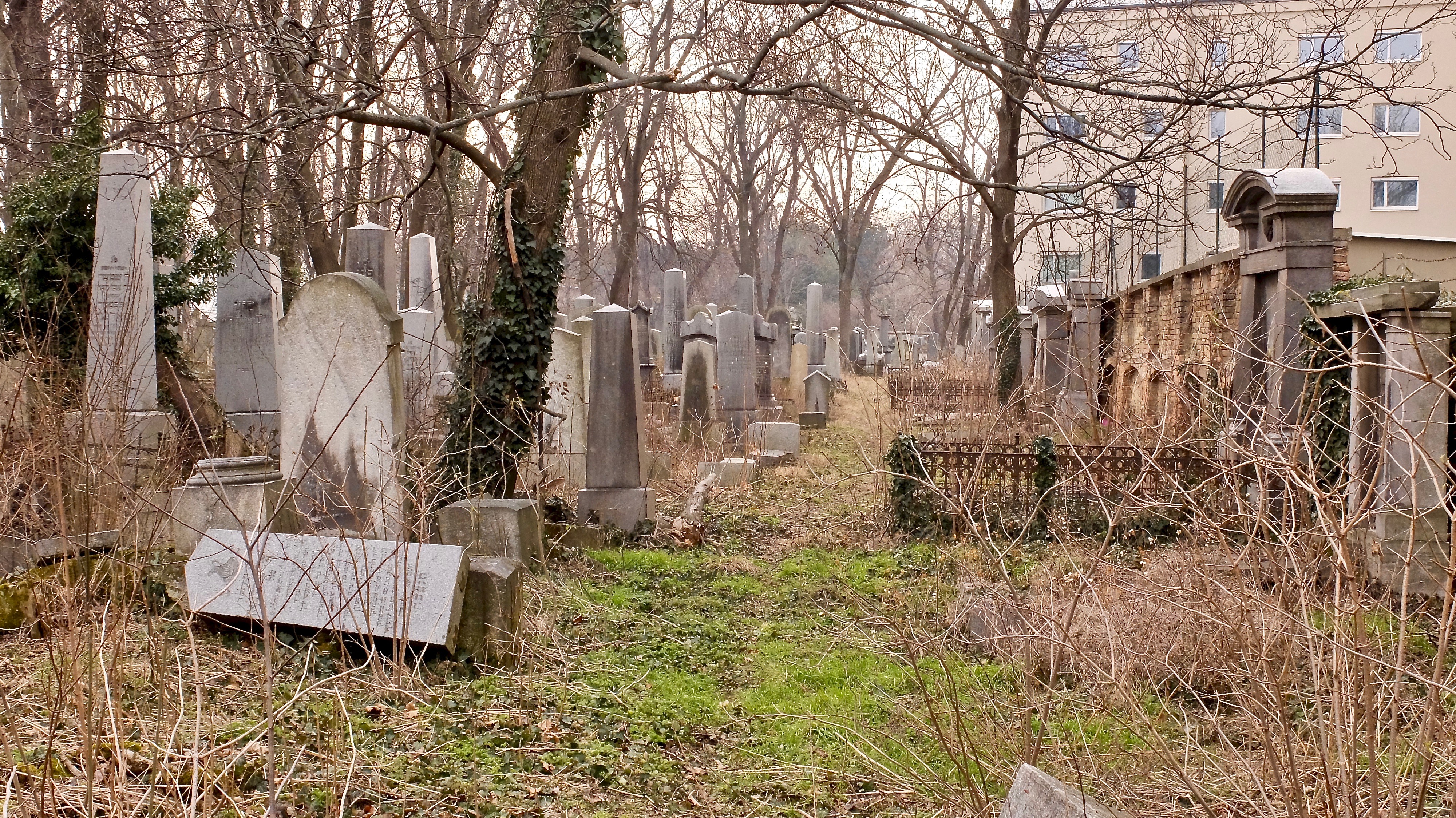 Free download high resolution image - free image free photo free stock image public domain picture -Tombstone and graves in an ancient church graveyard