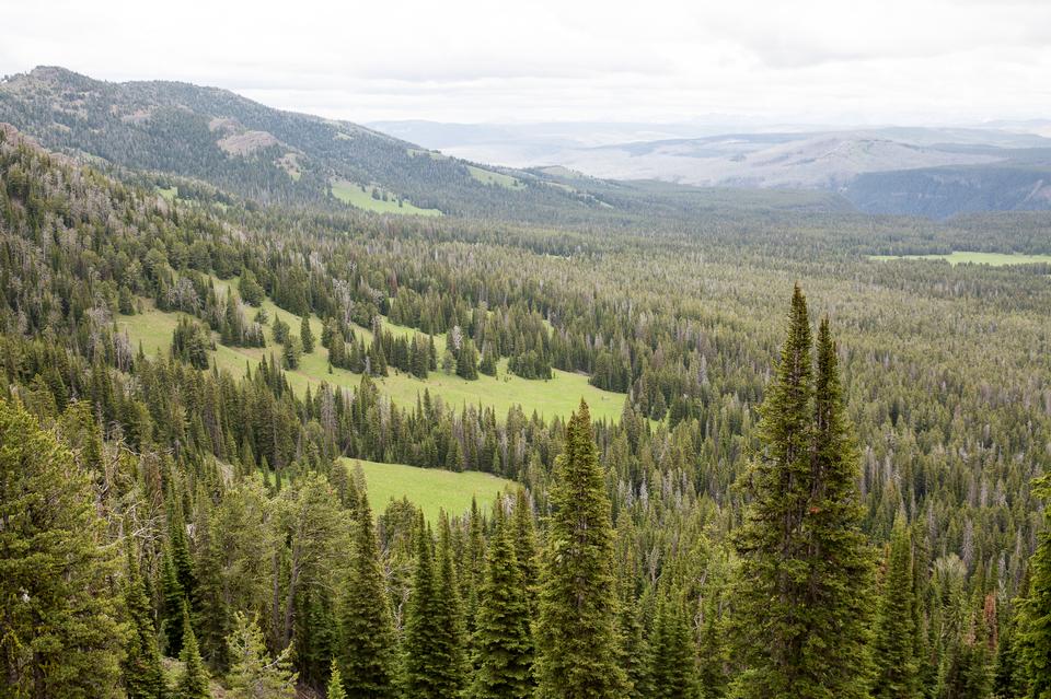 Free download high resolution image - free image free photo free stock image public domain picture  Mount Washburn, Yellowstone National Park