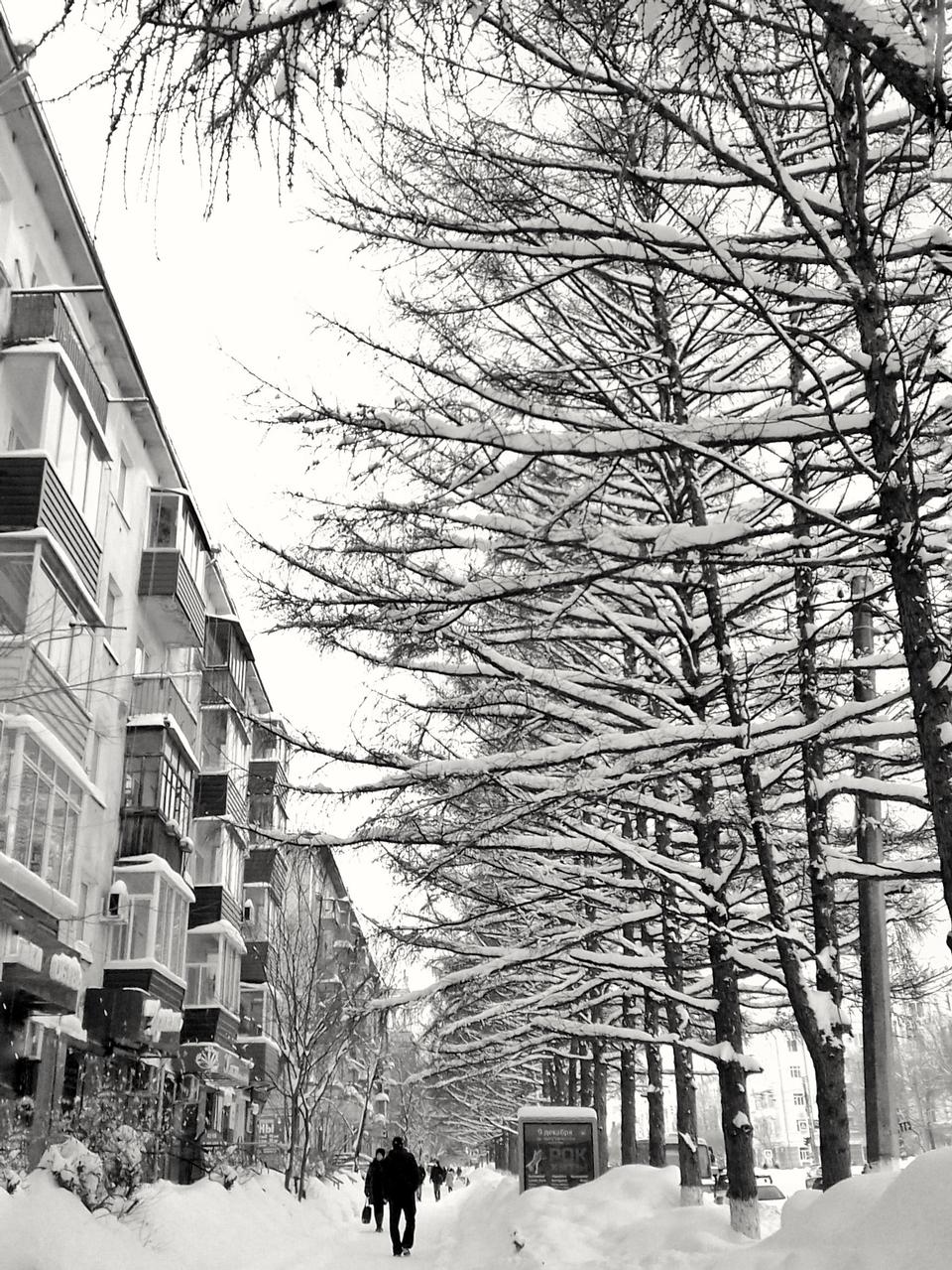 Free download high resolution image - free image free photo free stock image public domain picture  Snow covered winter street scene with old buildings